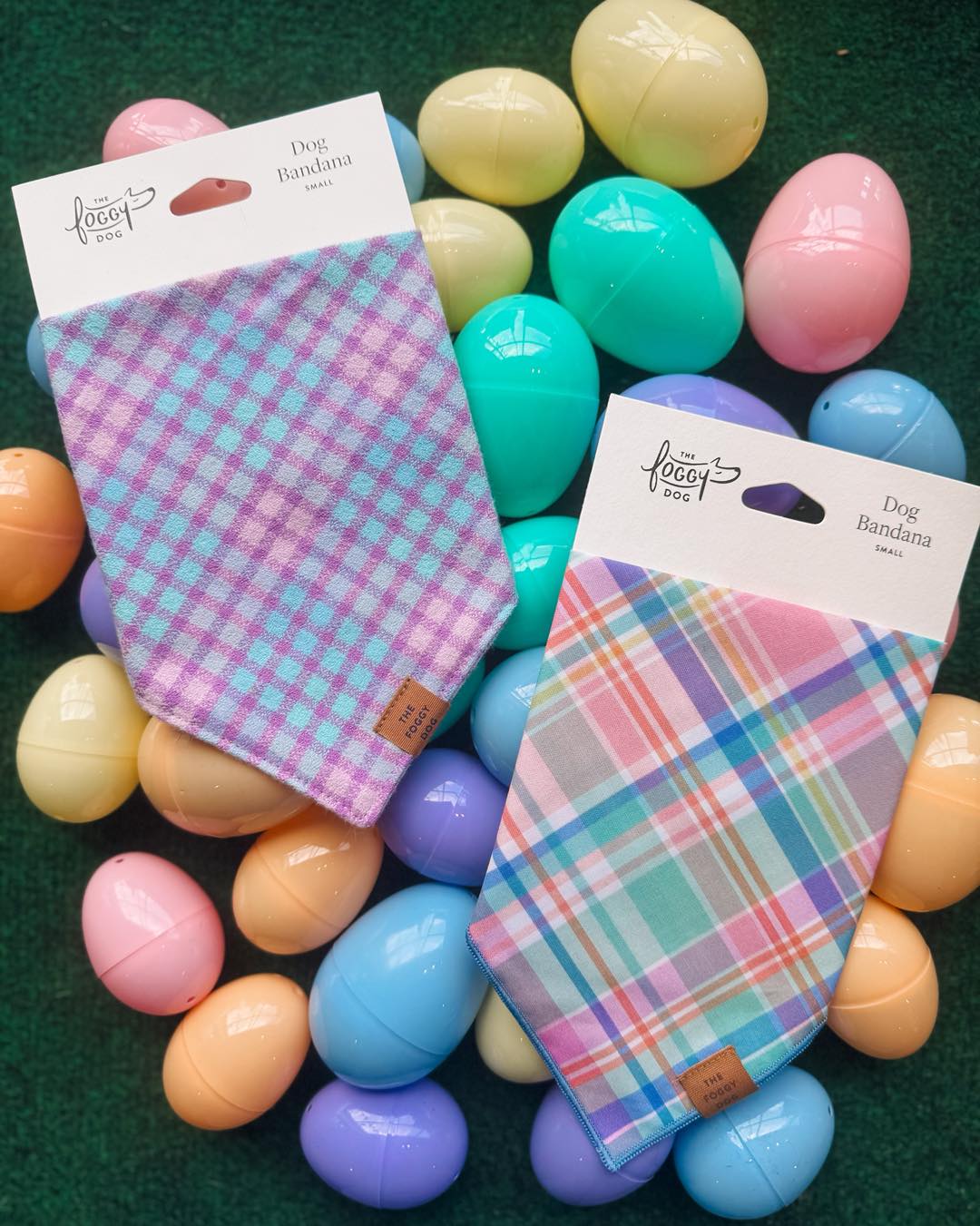 Hartwell Happy Hounds Hartwell