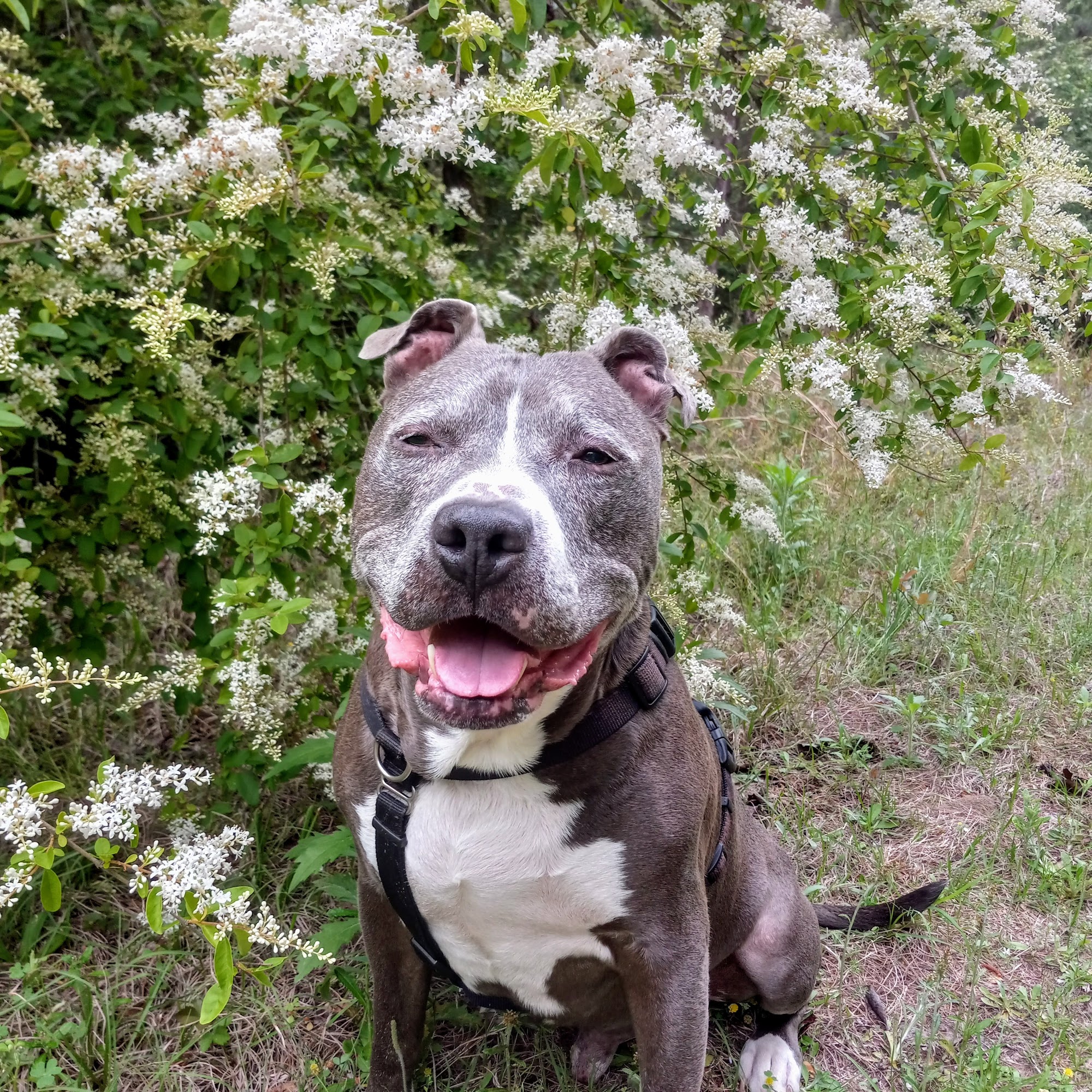 Baker Animal Hospital + Equine Associates Hawkinsville