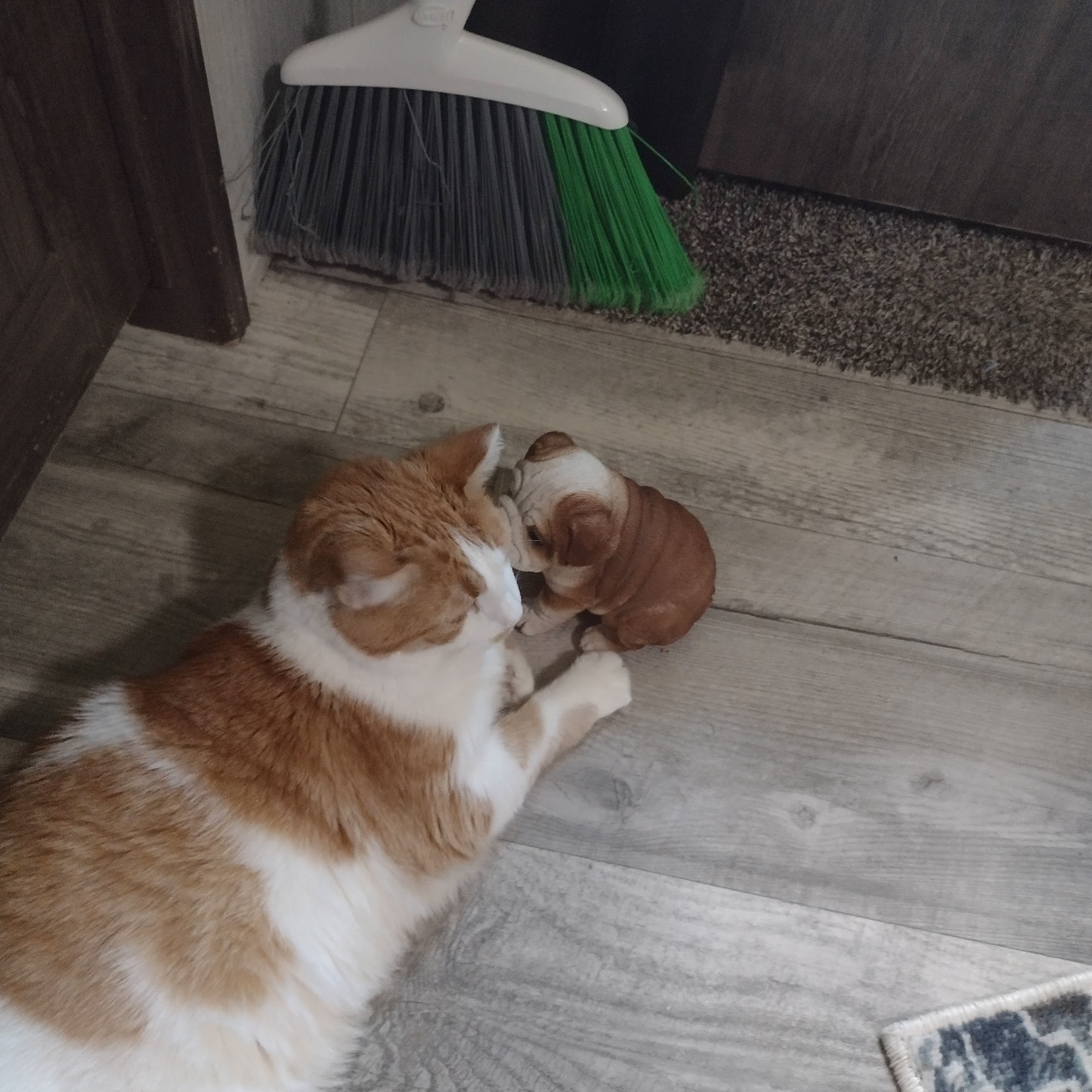 Orchard Veterinary Clinic Hawkinsville