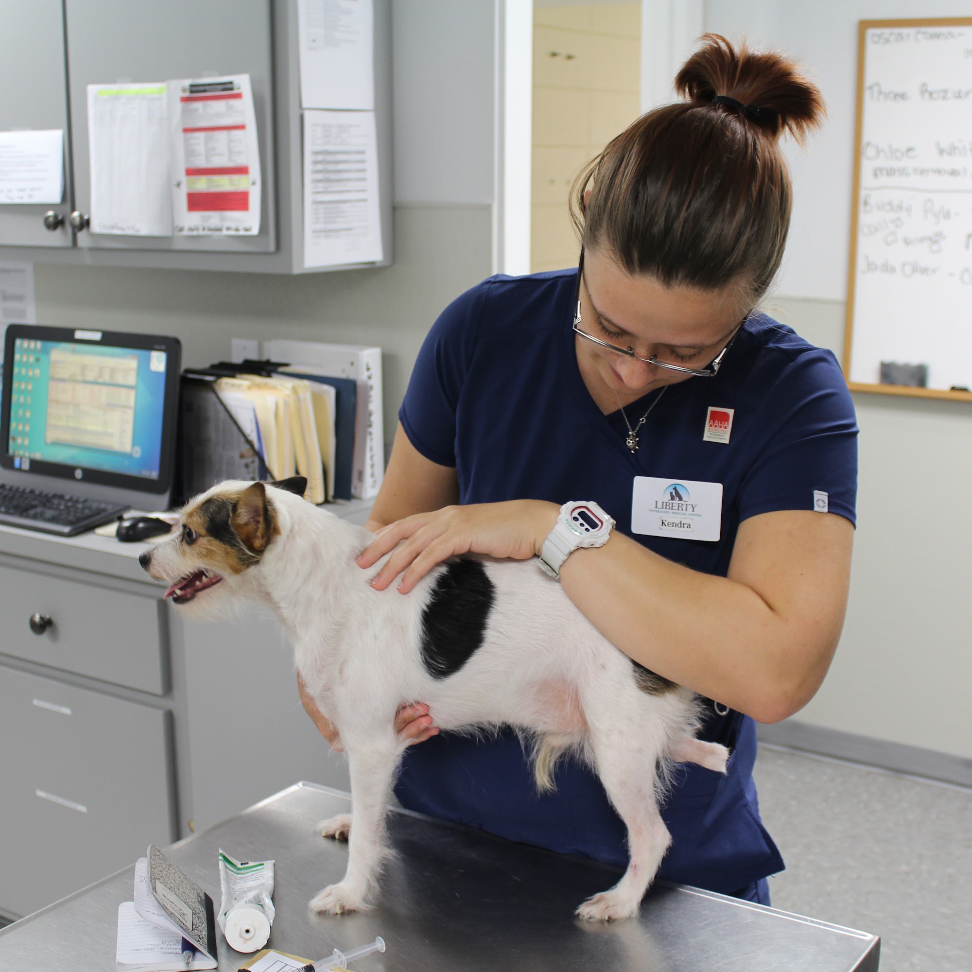 Liberty Veterinary Medical Center Hinesville