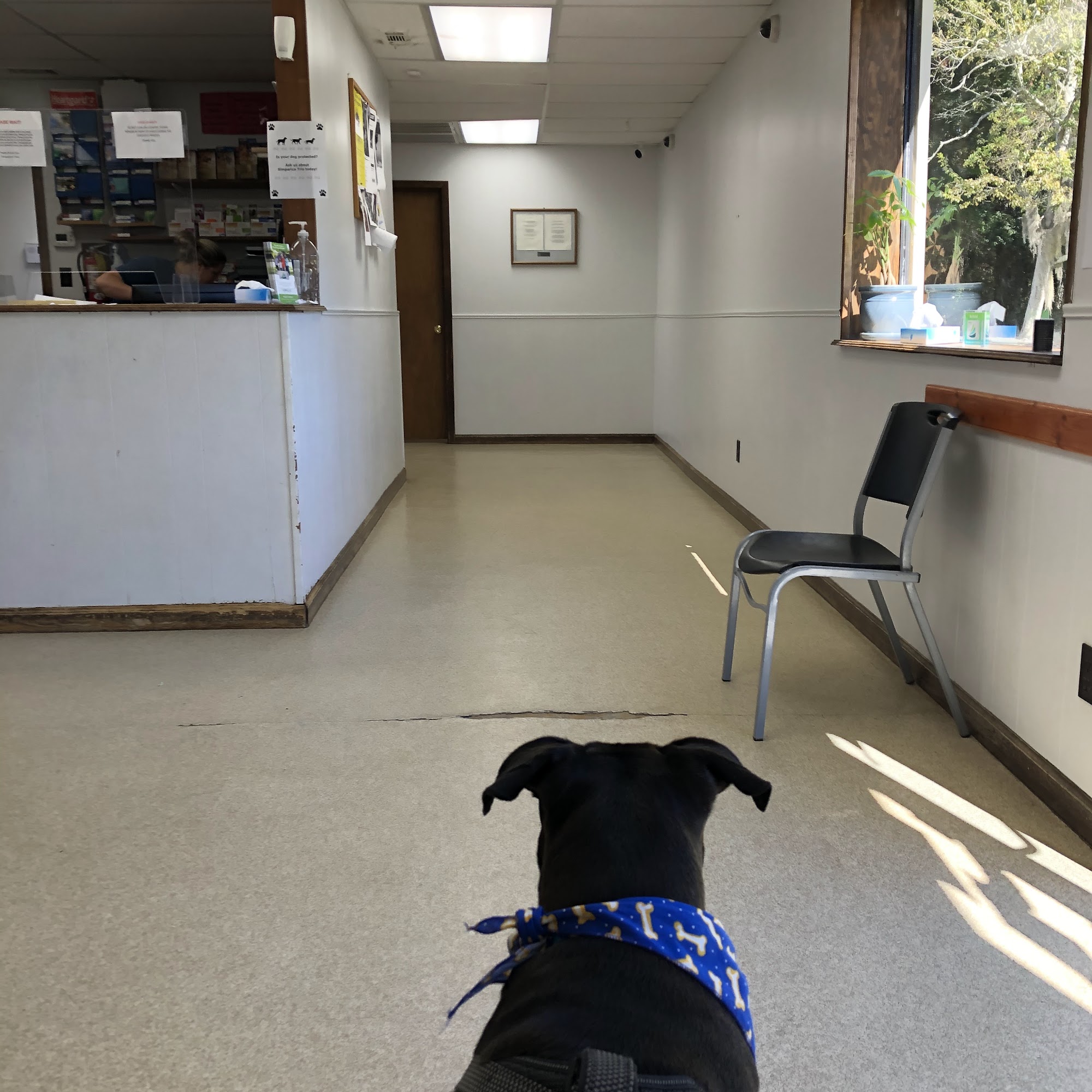 Liberty Animal Clinic Hinesville