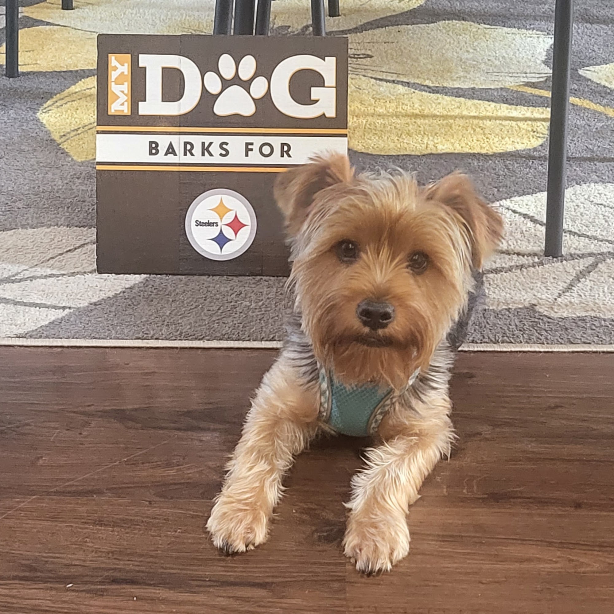 Flemington Veterinary Hospital Hinesville