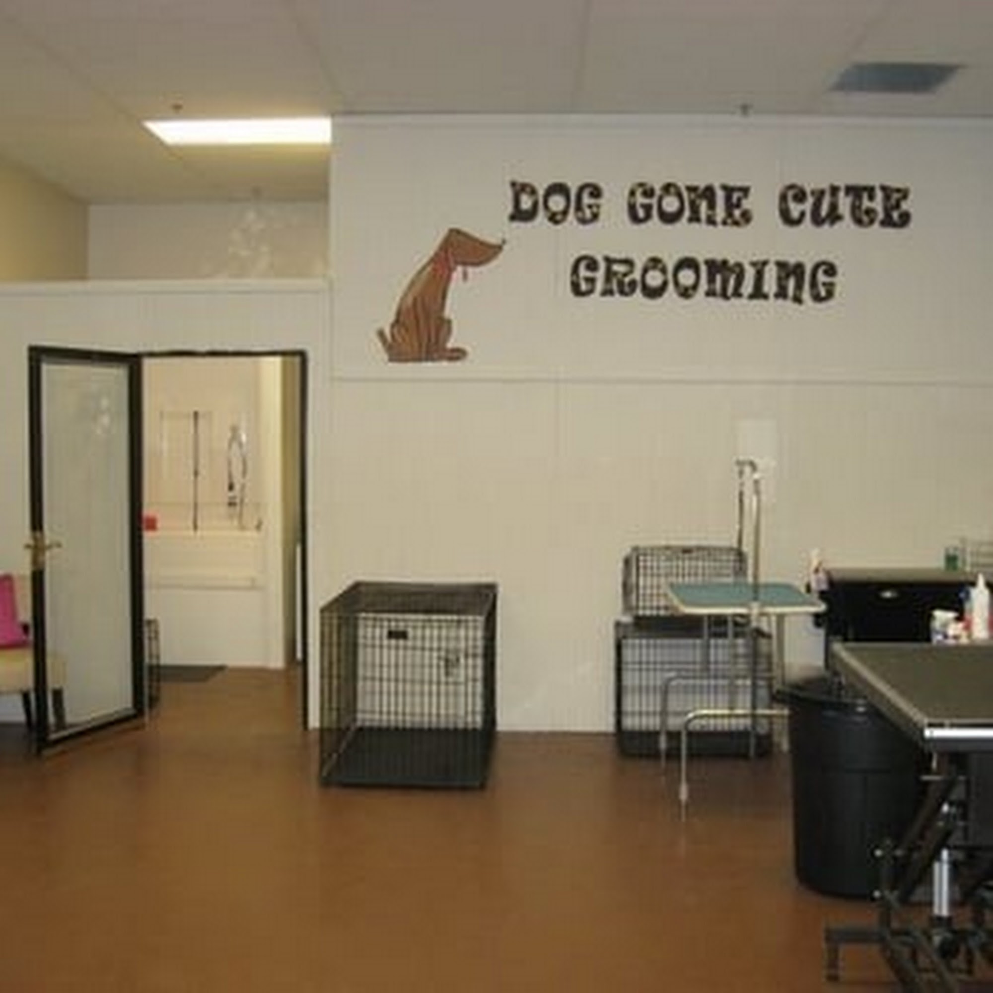 Dog Gone Cute Grooming Hoschton