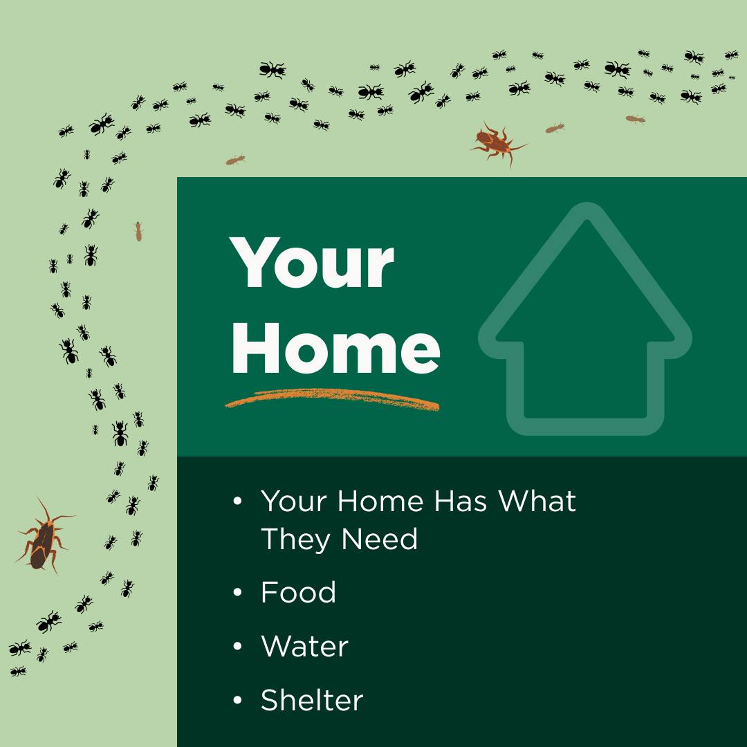 Zone Home Solutions