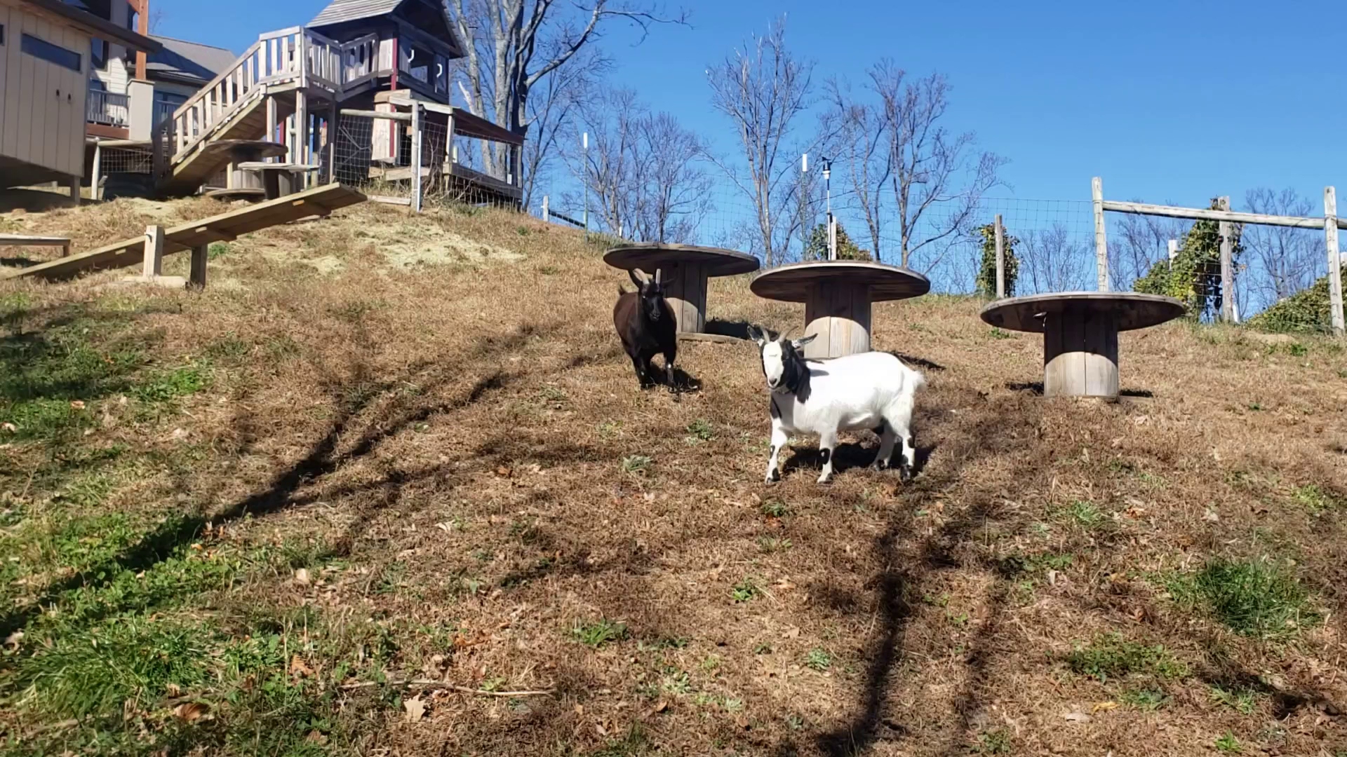 Fainting Goat Vineyards Jasper