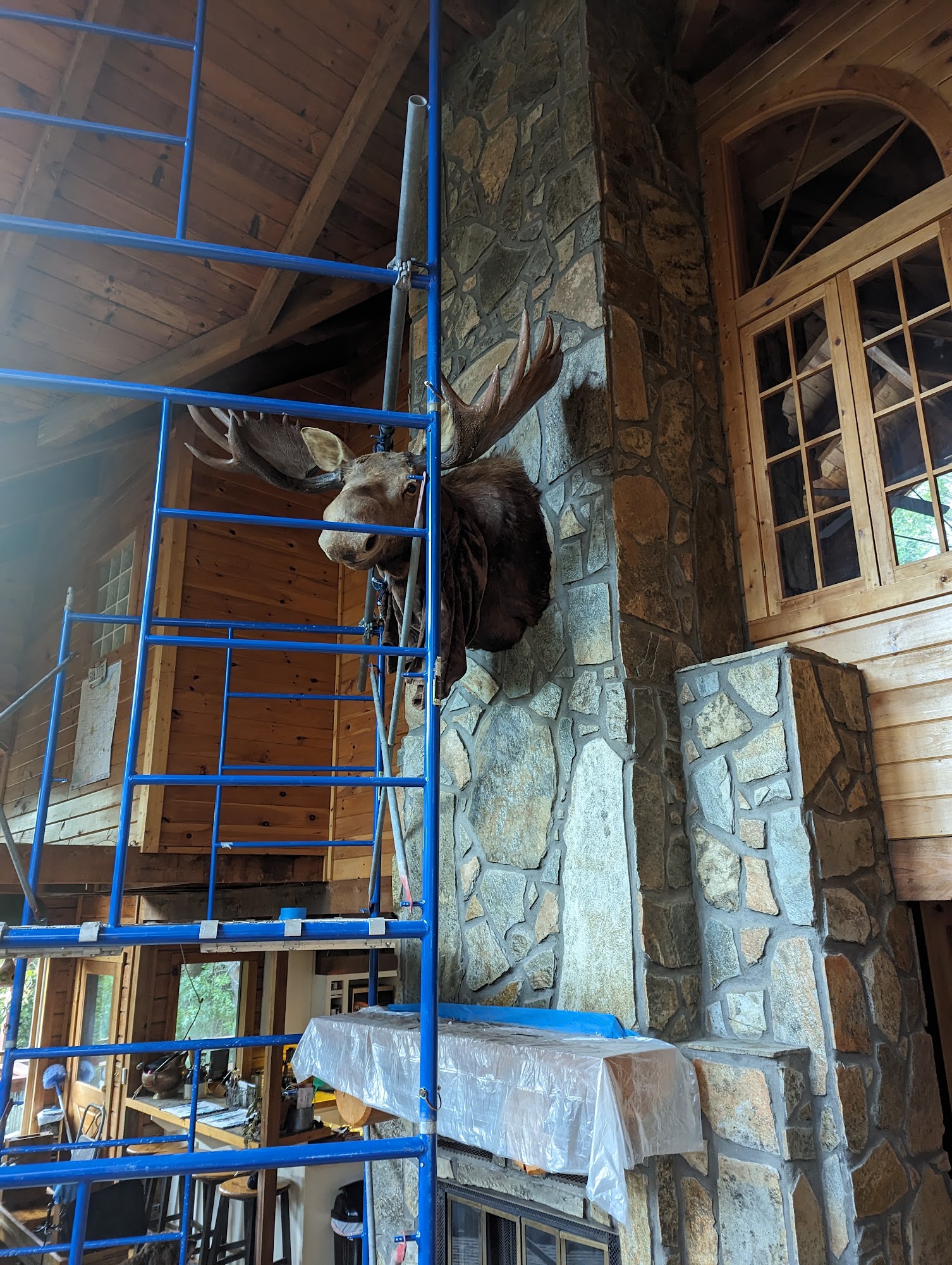 Forming & Shoring Solutions