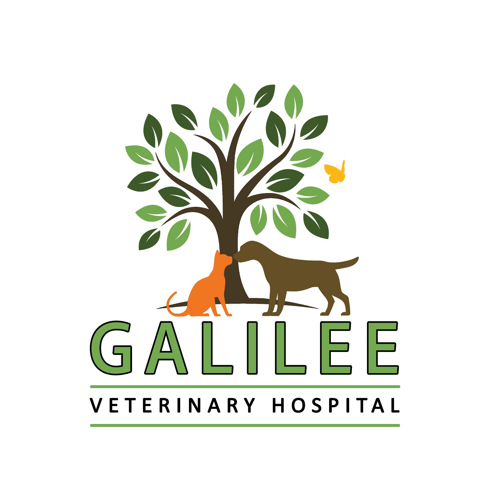 Galilee Veterinary Hospital Jefferson