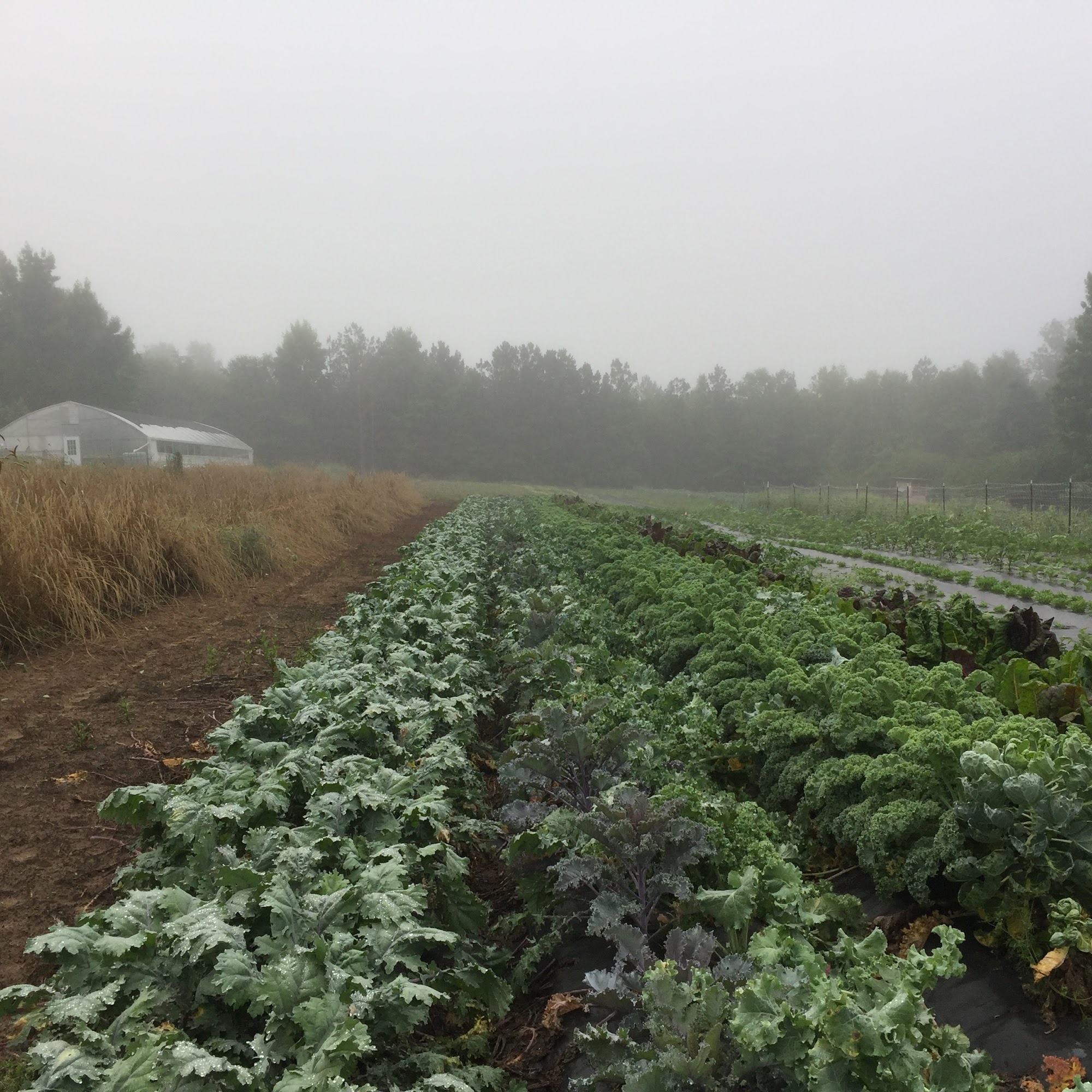 Rag & Frass Farm Jeffersonville