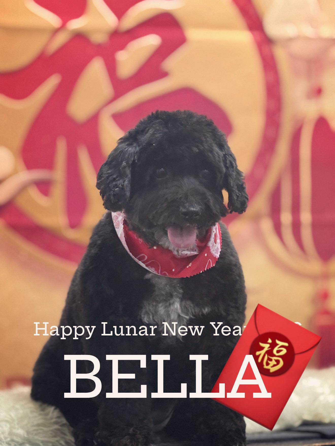 Happy Dog Spa 10305 Medlock Bridge Rd Suite C-2, Johns Creek, GA 30097