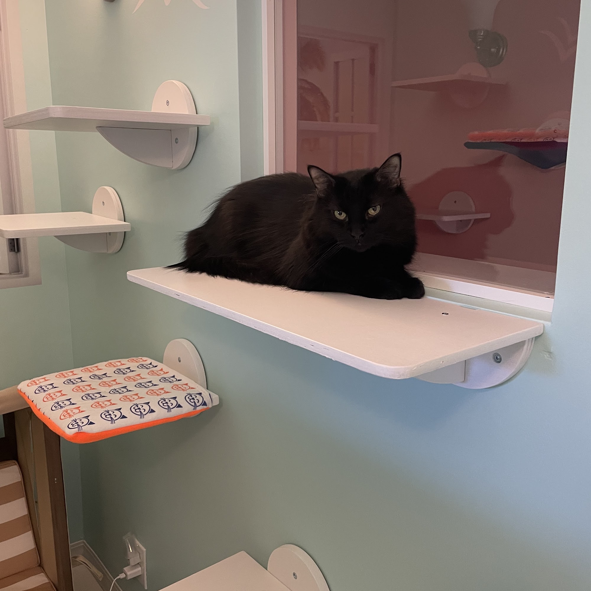 Happy Cat Hotel & Spa Johns Creek Johns Creek