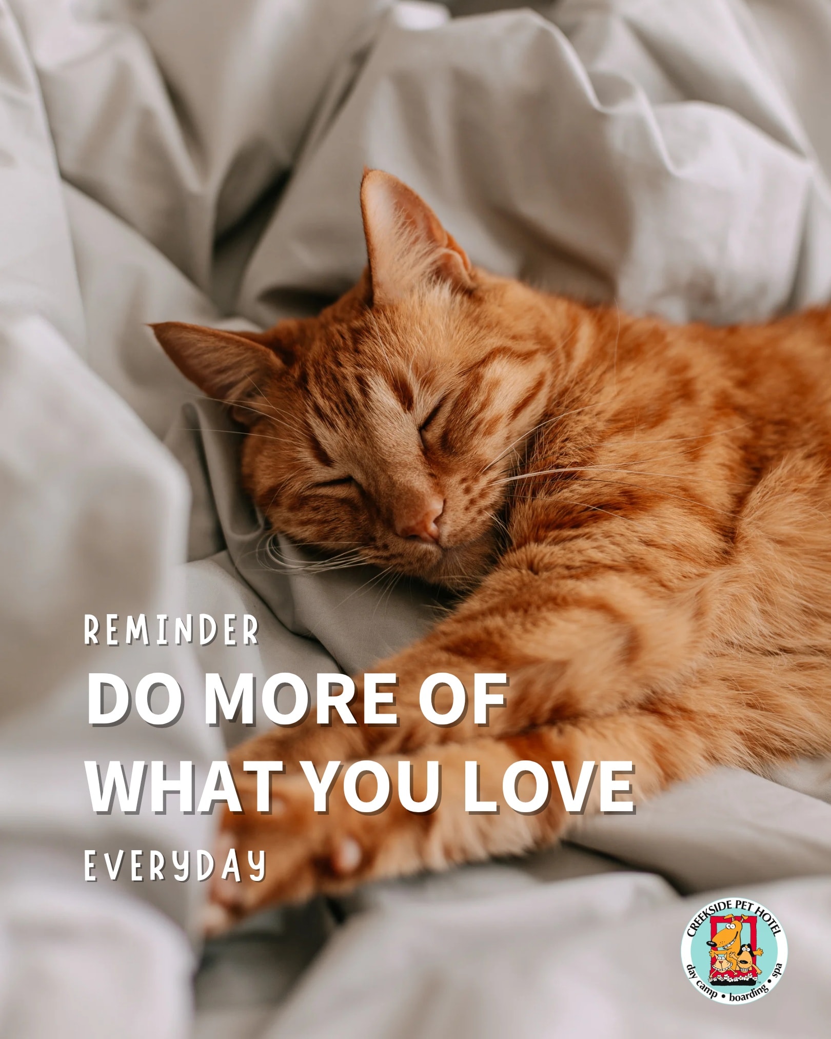 Creekside Pet Hotel Kennesaw