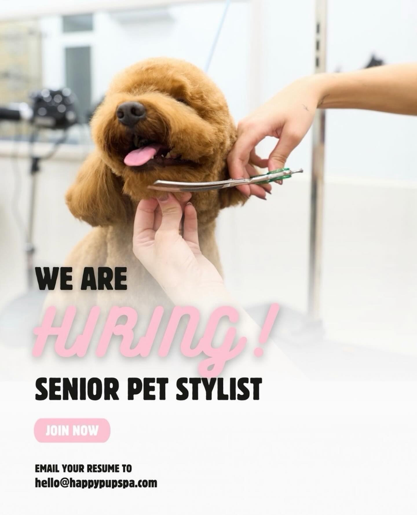 Happy Pup Spa Kennesaw