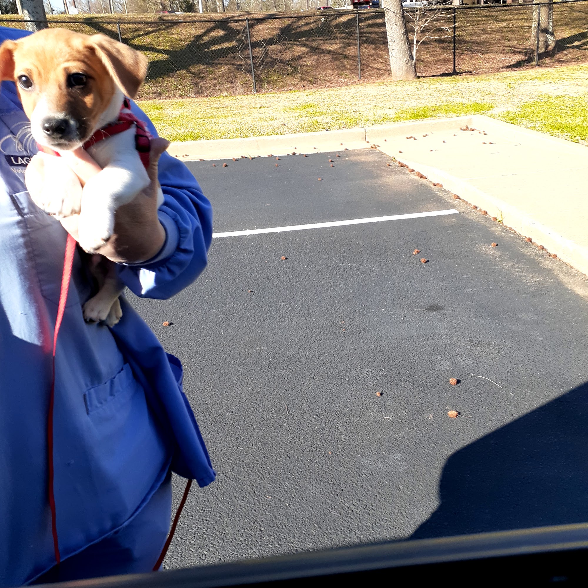 Dr. Brian Kirby LaGrange