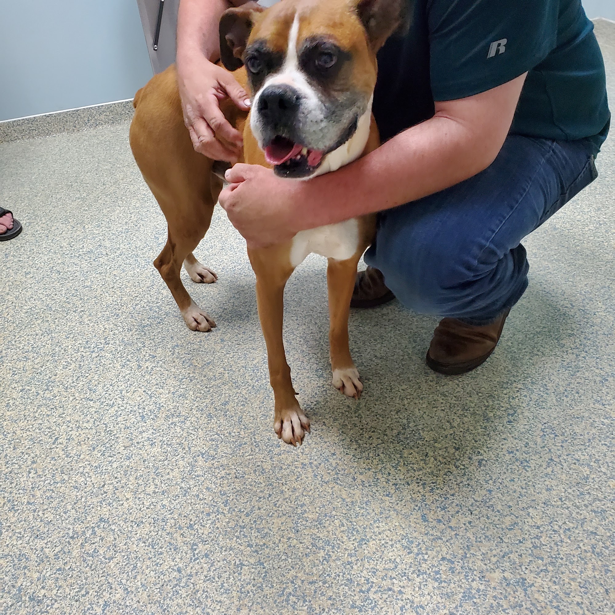 La Grange Veterinary Hospital LaGrange