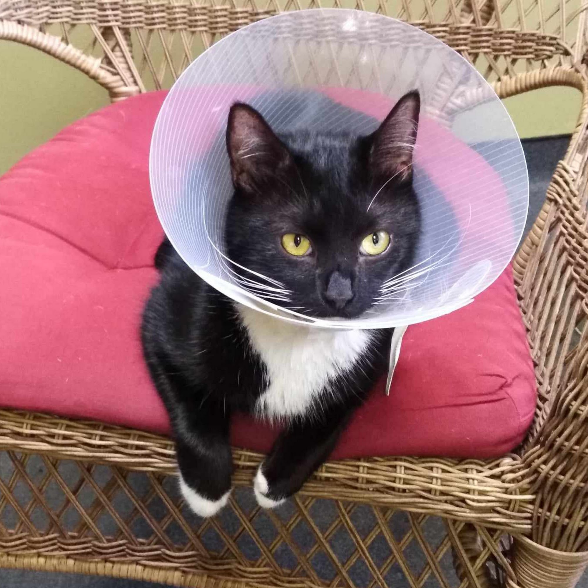 Lake Park Veterinary Clinic Lake Park