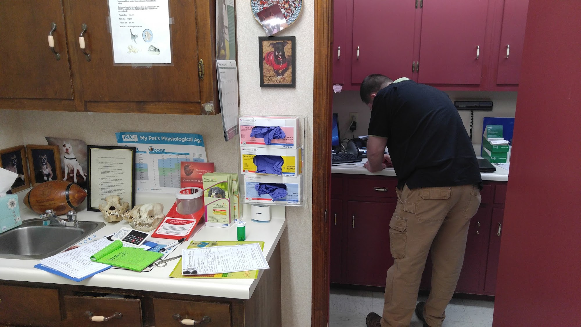 Lavonia Animal Hospital Lavonia