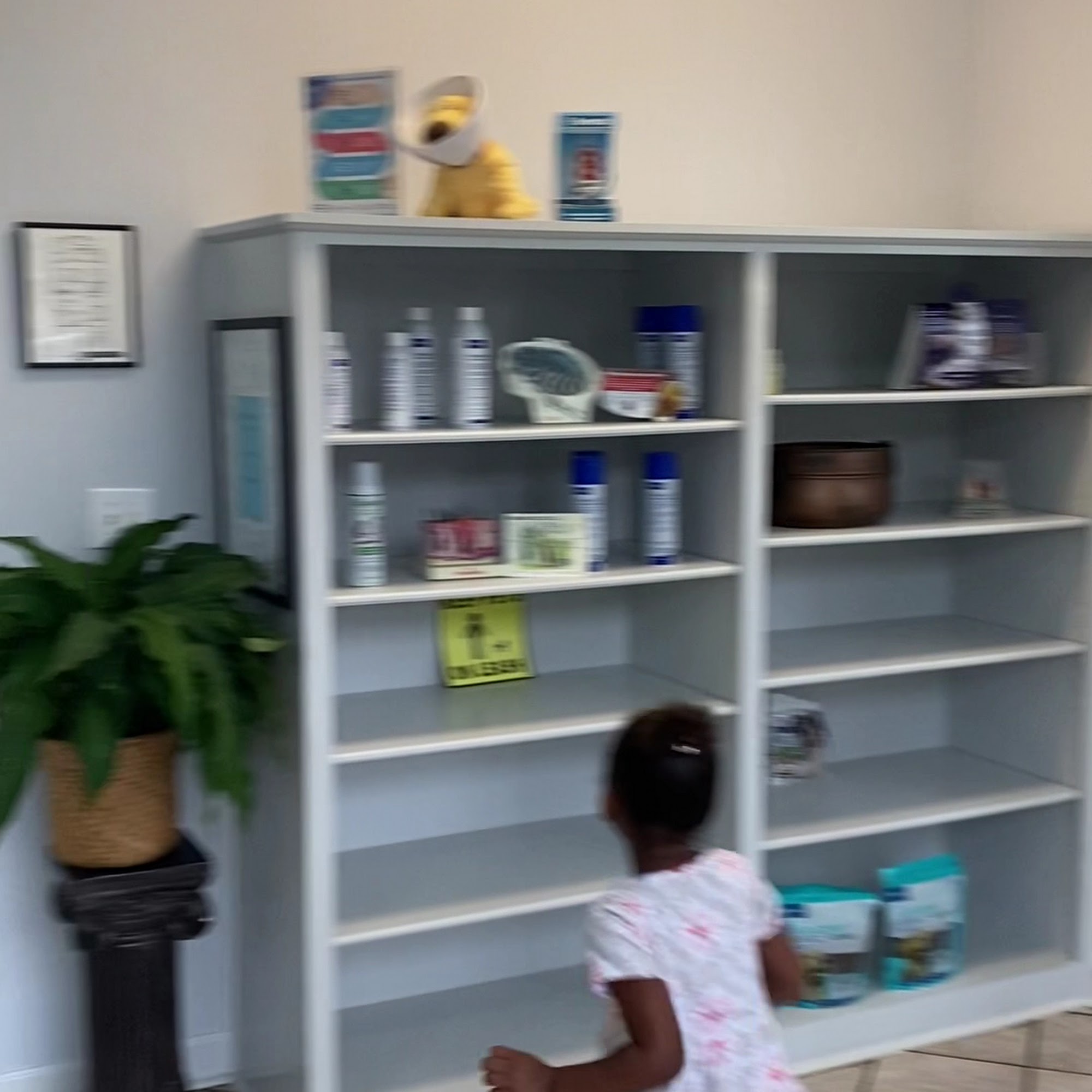 Dogwood Animal Hospital Lawrenceville