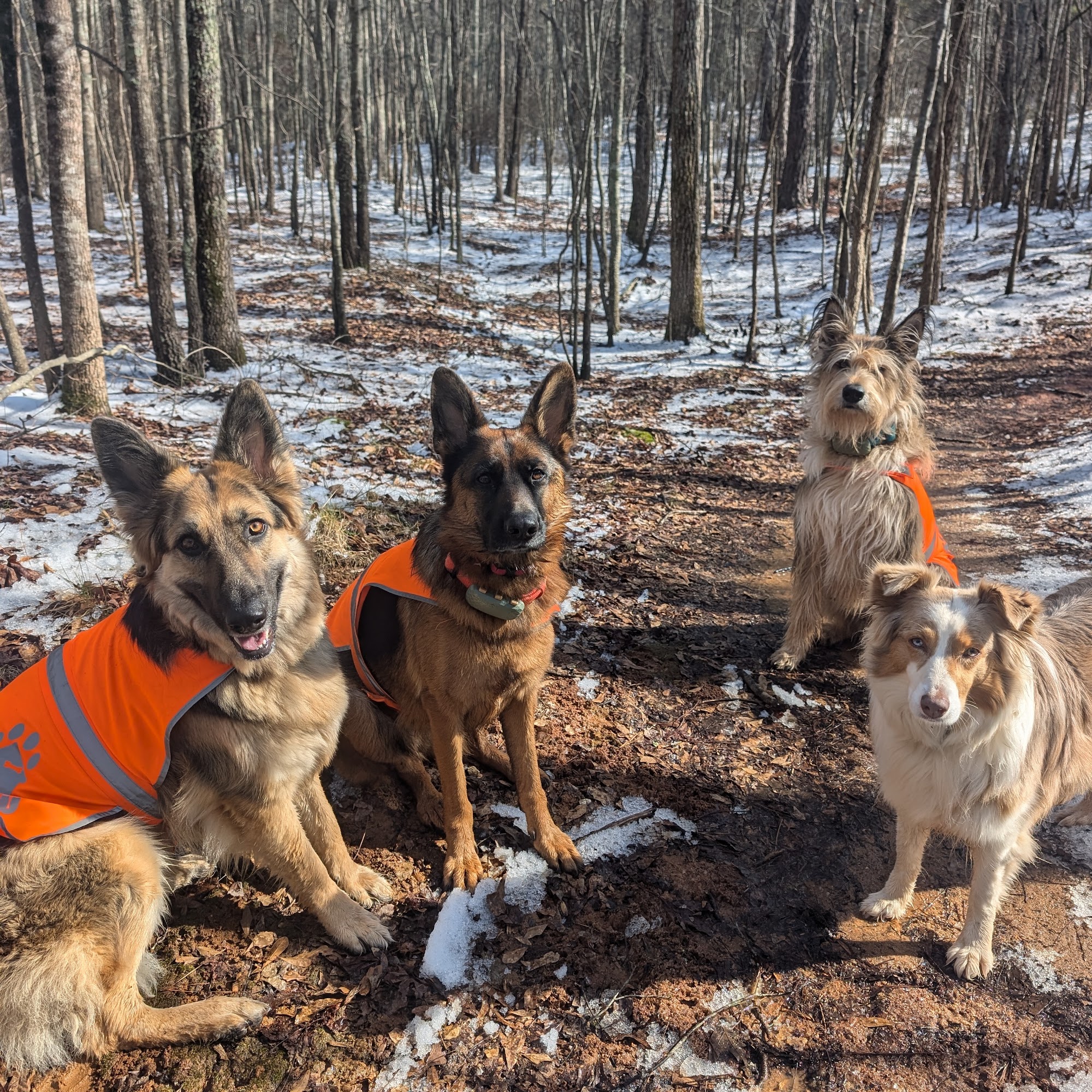 Georgia Pet Watchers Lawrenceville