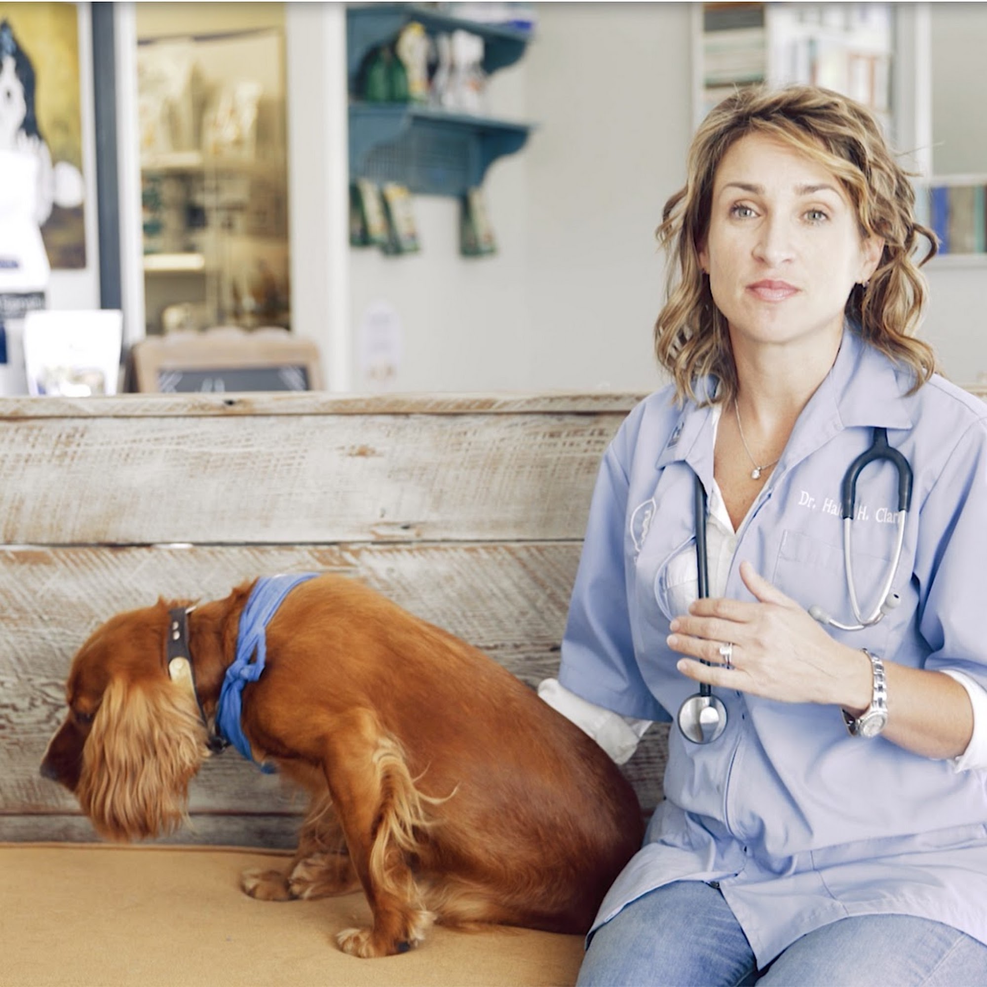 Leesburg Animal Hospital Leesburg