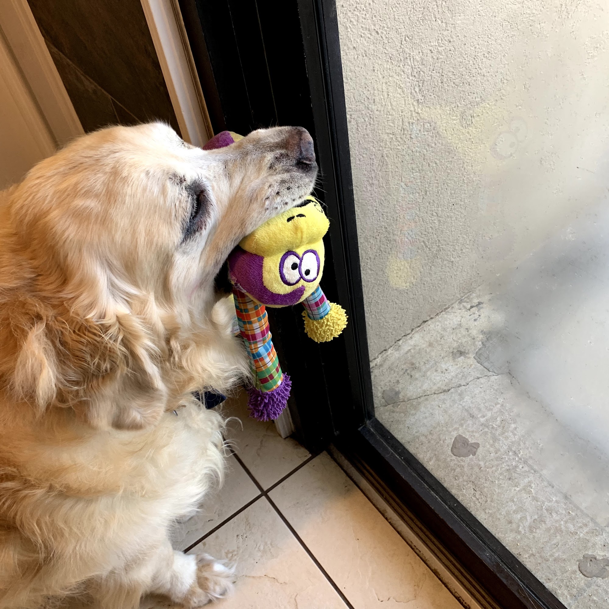 Beaver Crossing Animal Hospital Lilburn