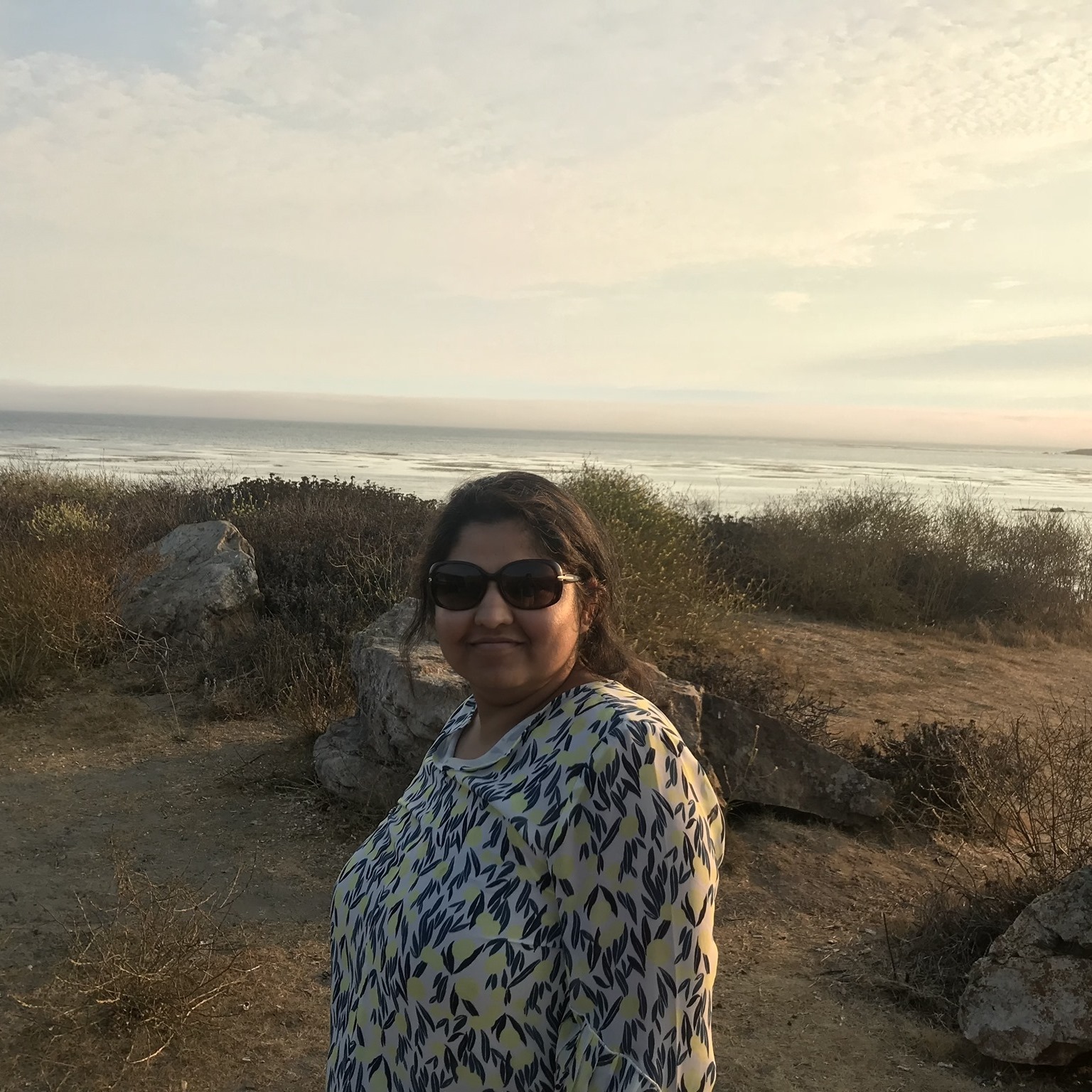 Dollar Sense Tax and Accounting Solutions