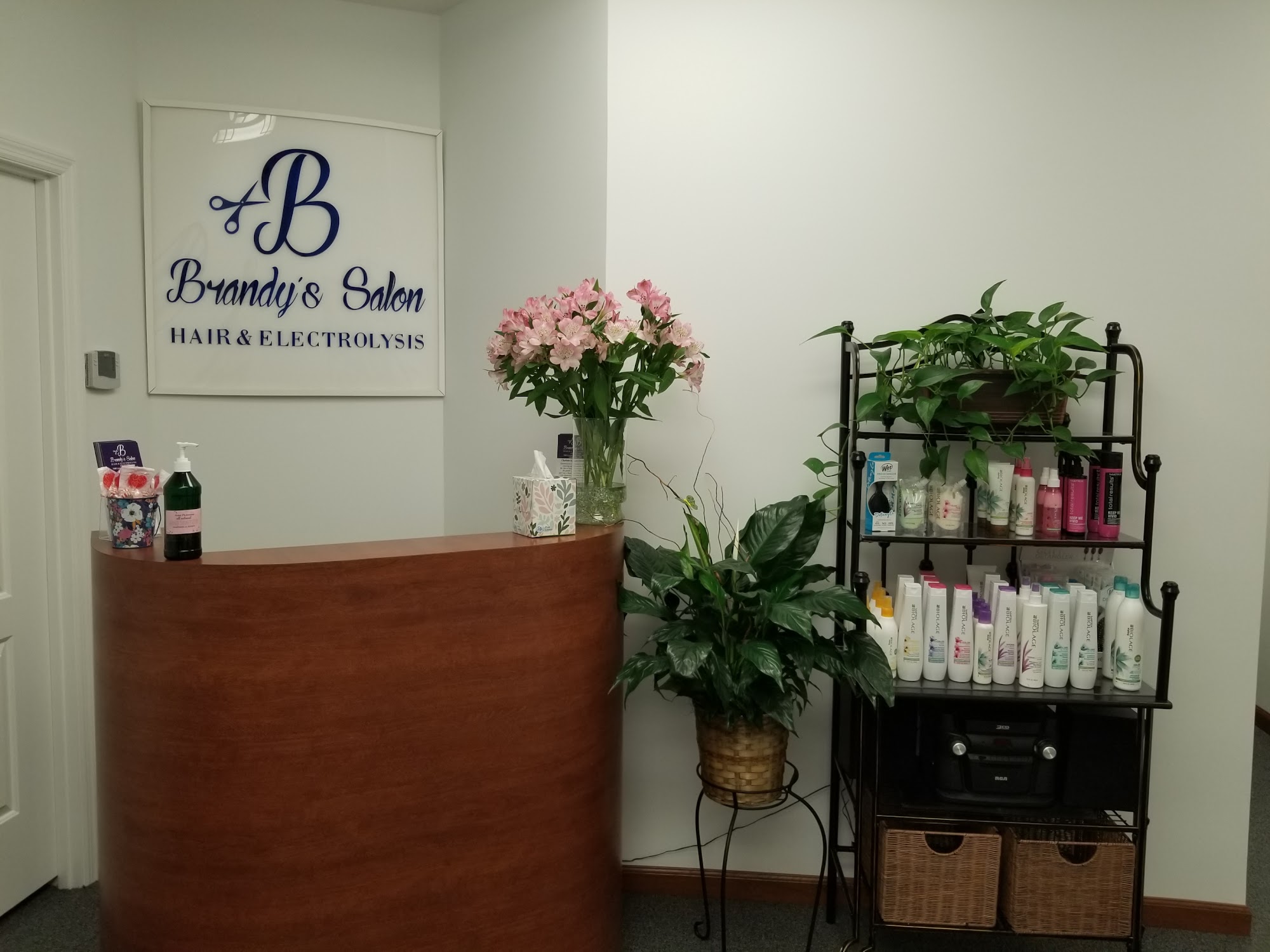 Brandy's Salon 5400 Lawrenceville Hwy Suite A1, Lilburn Georgia 30047