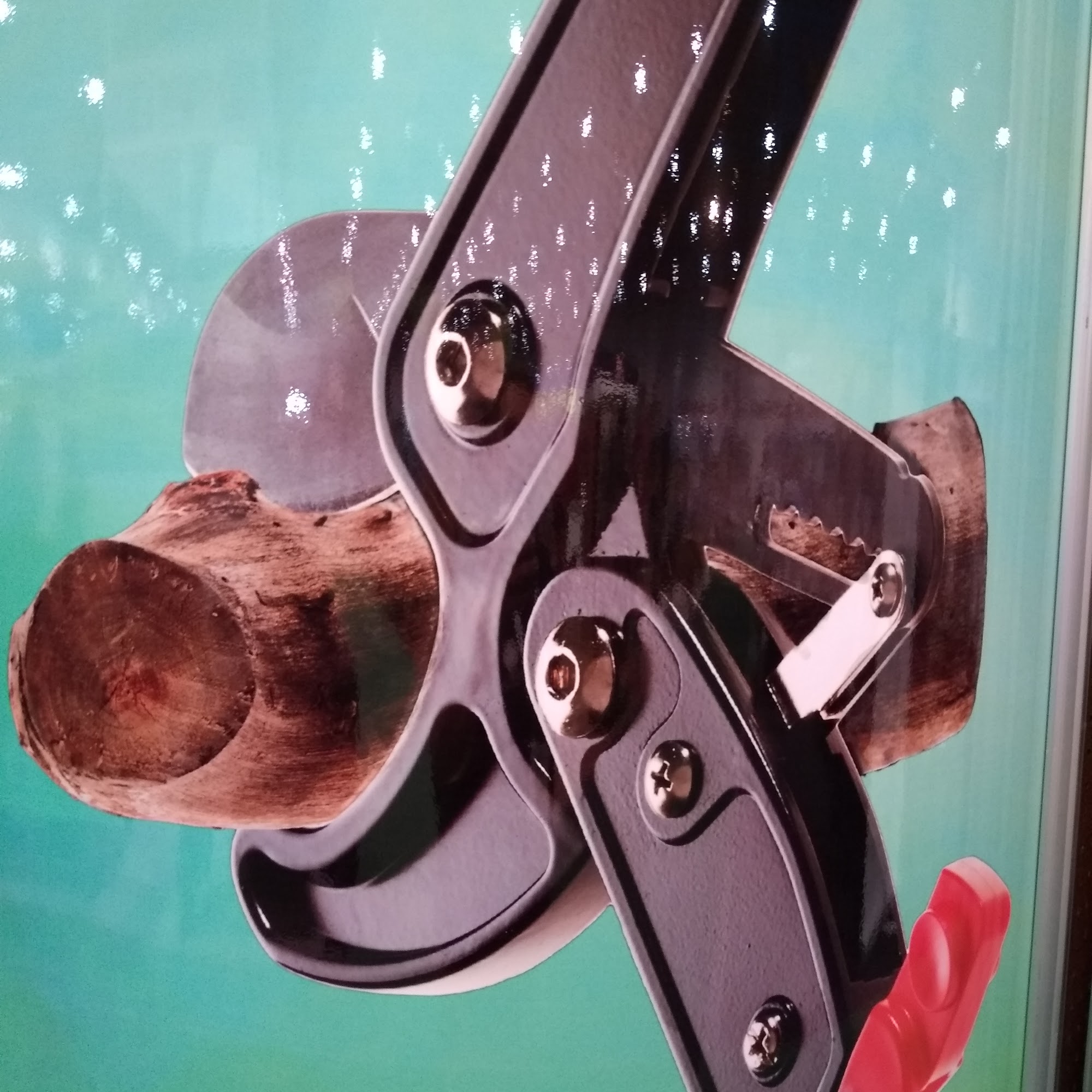 Horizons America Inc.