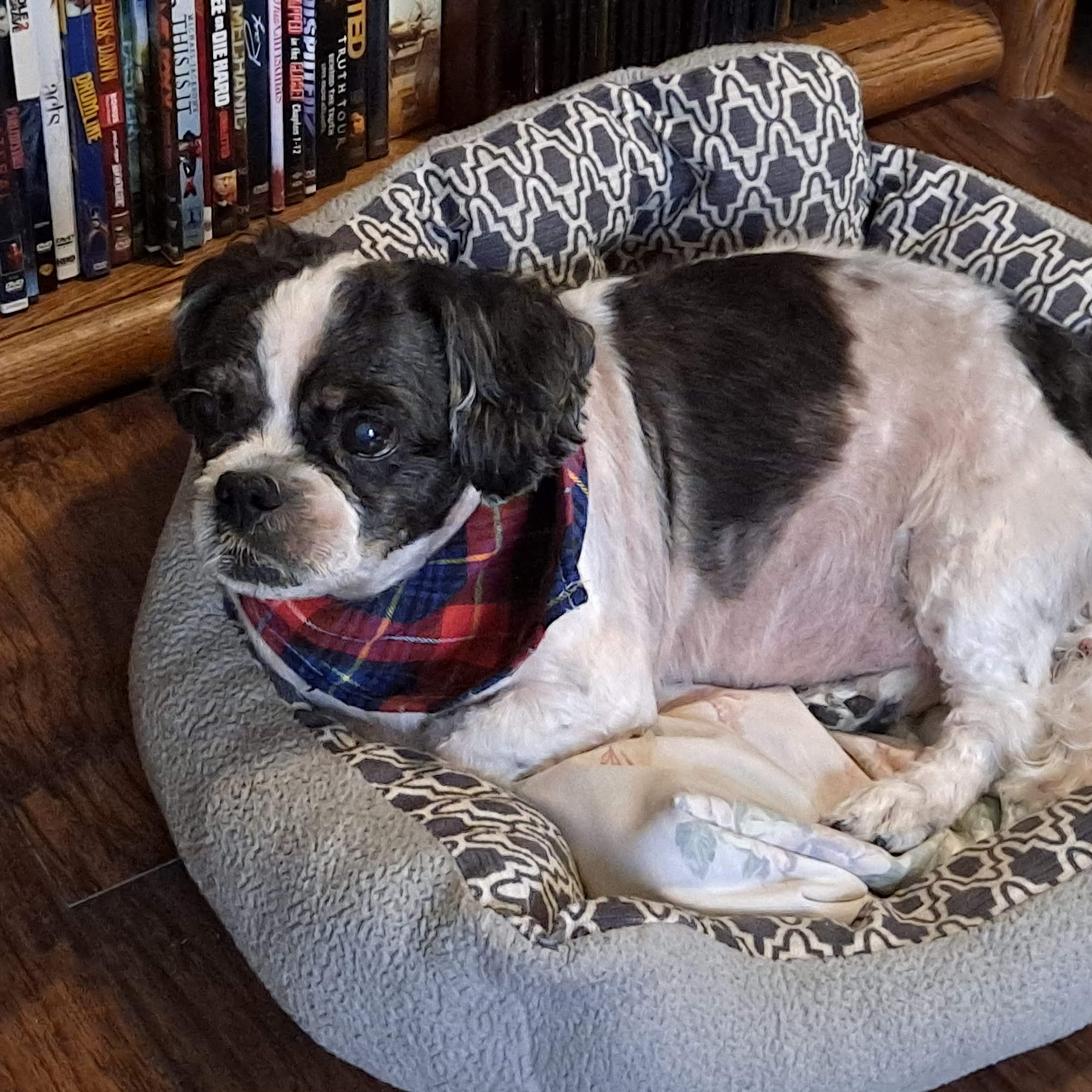 Sweetwater Creek Animal Hospital Lithia Springs