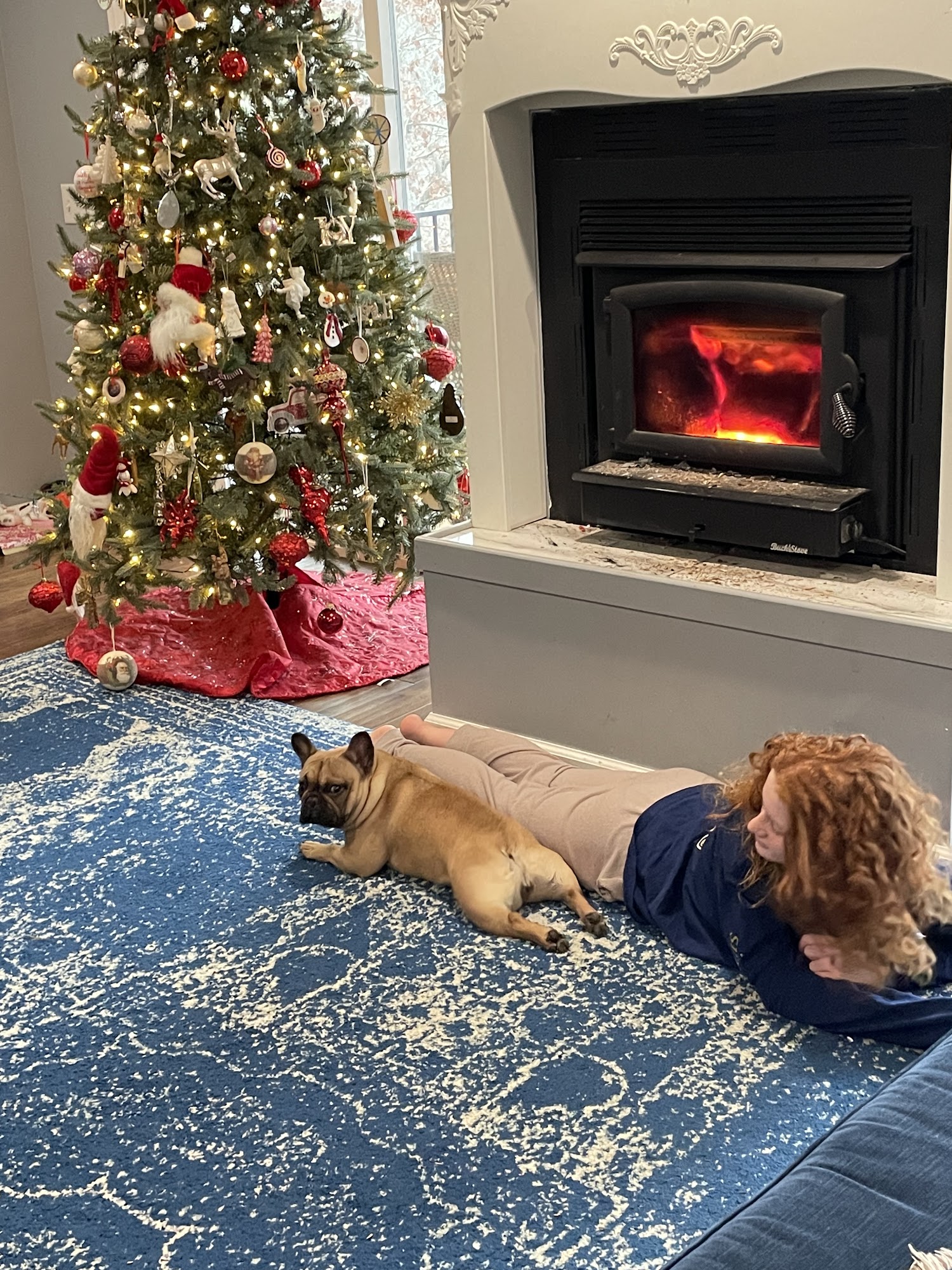 Flawless Frenchies - French Bulldog Breeder Lula, GA Lula