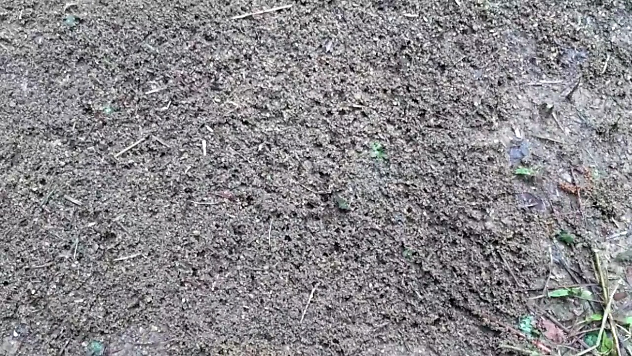 Custom Lamps By Reno Menu