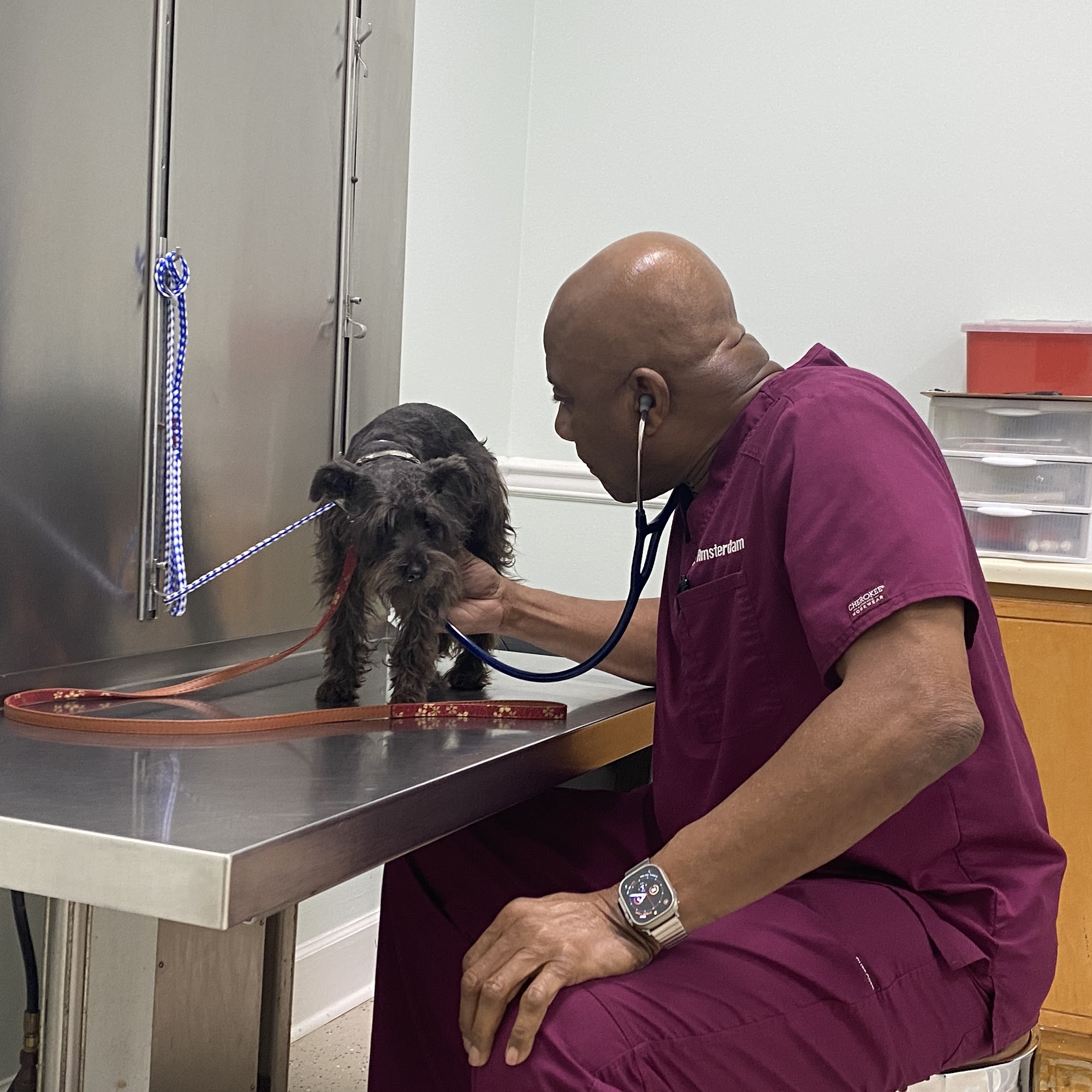 AVS Animal Hospital Macon