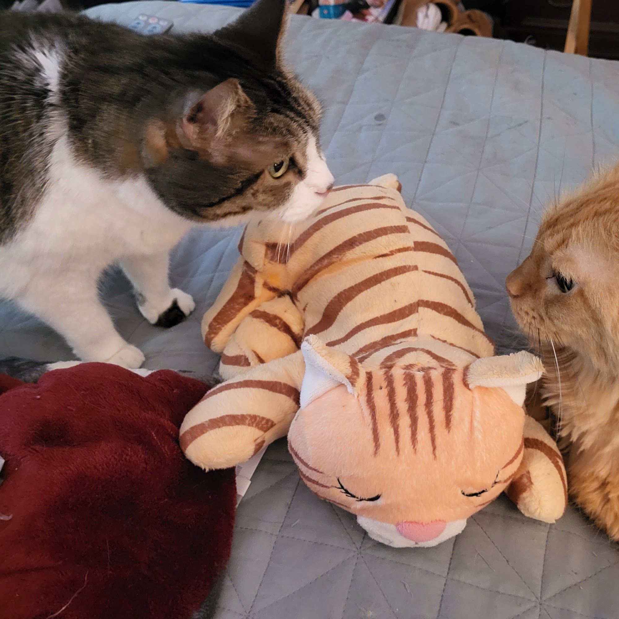 Plantation Centre Animal Hospital Macon