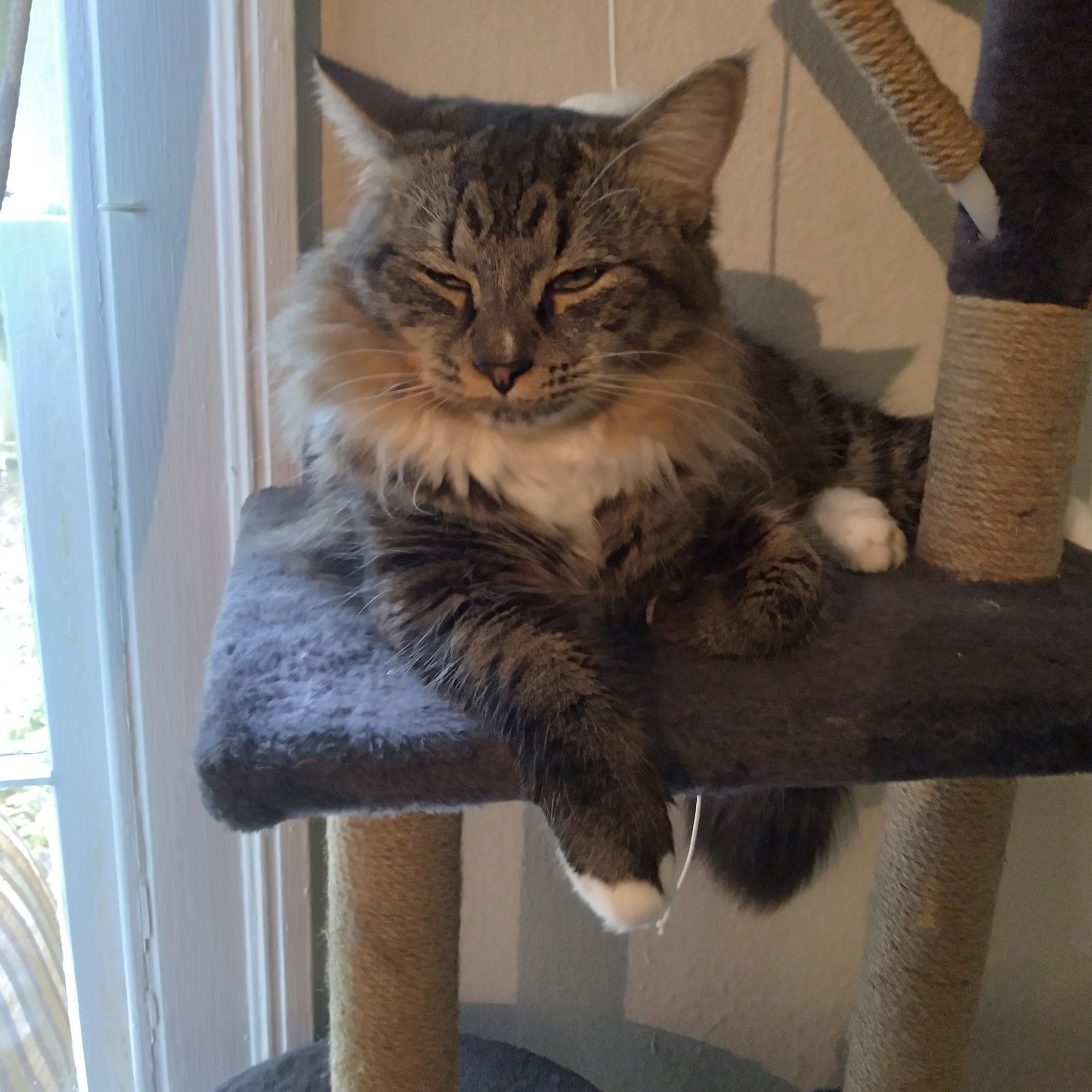 Greenwood Farm Veterinary Clinic Macon