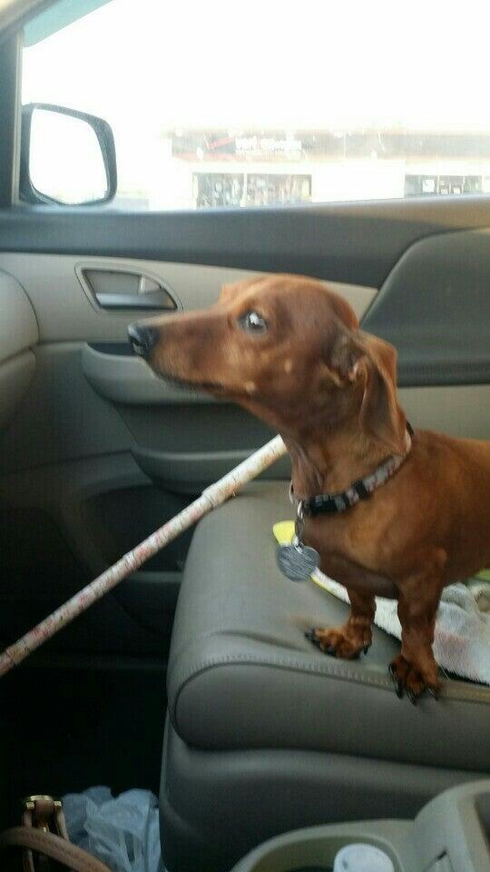 Greenwood Farm Veterinary Clinic Macon