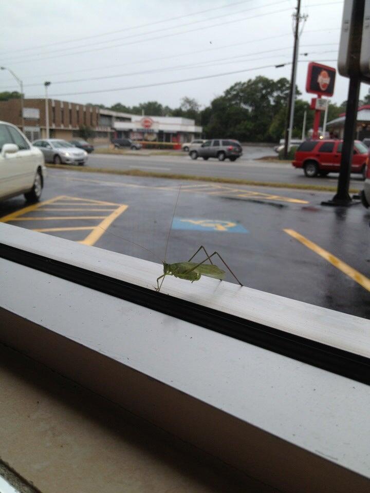 Photo credit: nextdoor