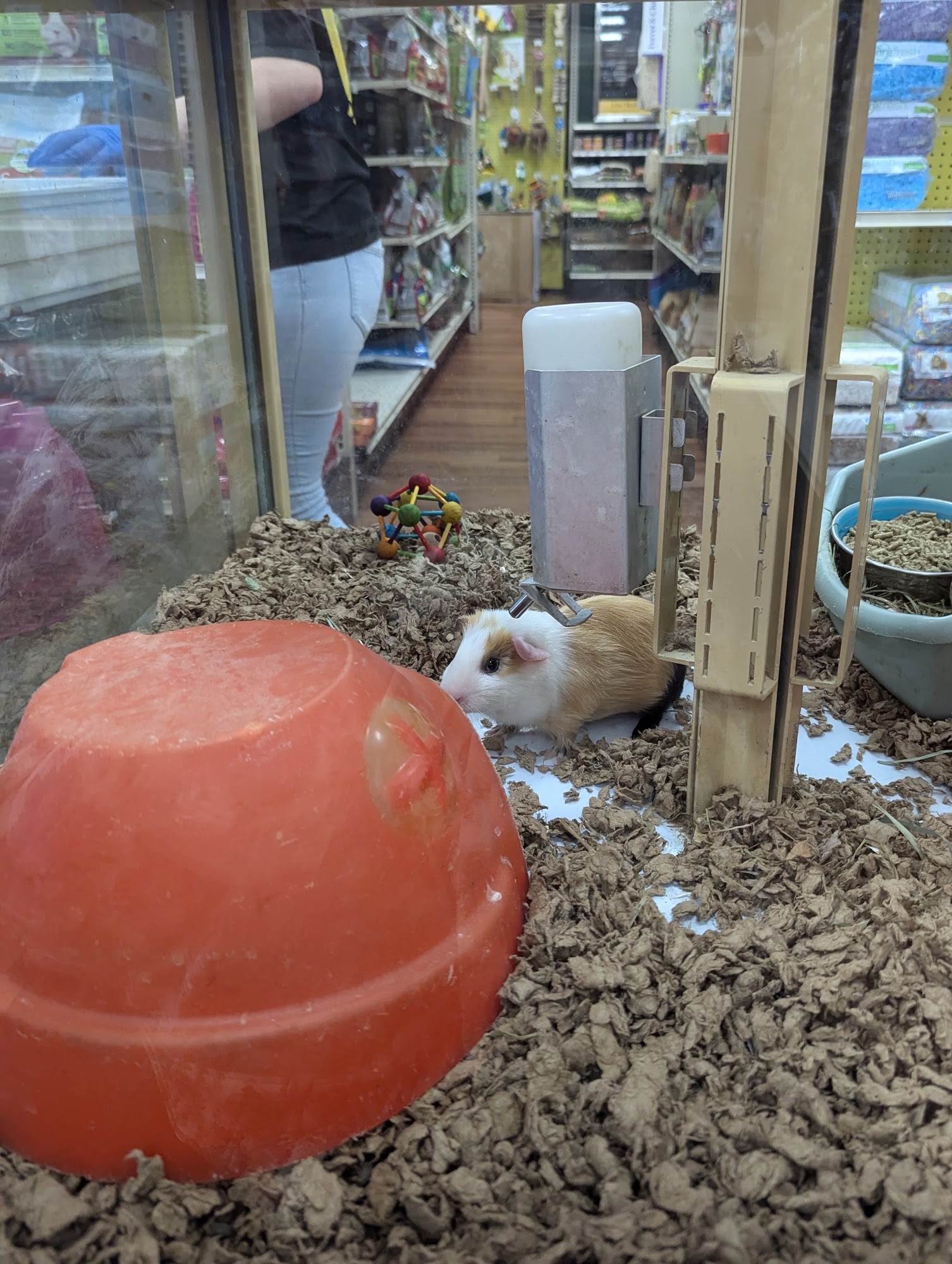 Pet Supermarket Macon