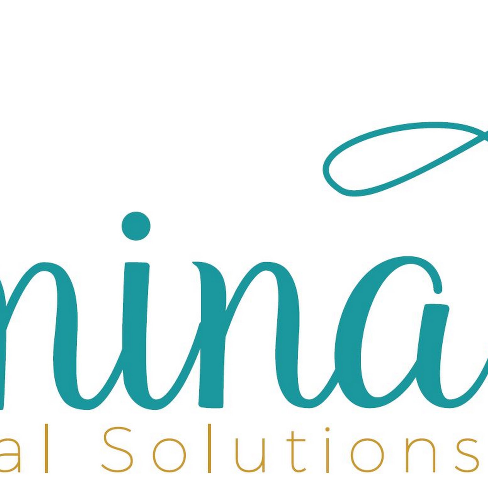 Amina Financial Solutions, LLC