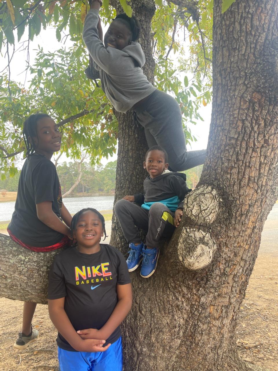 Dee's Enterprise Unlimited