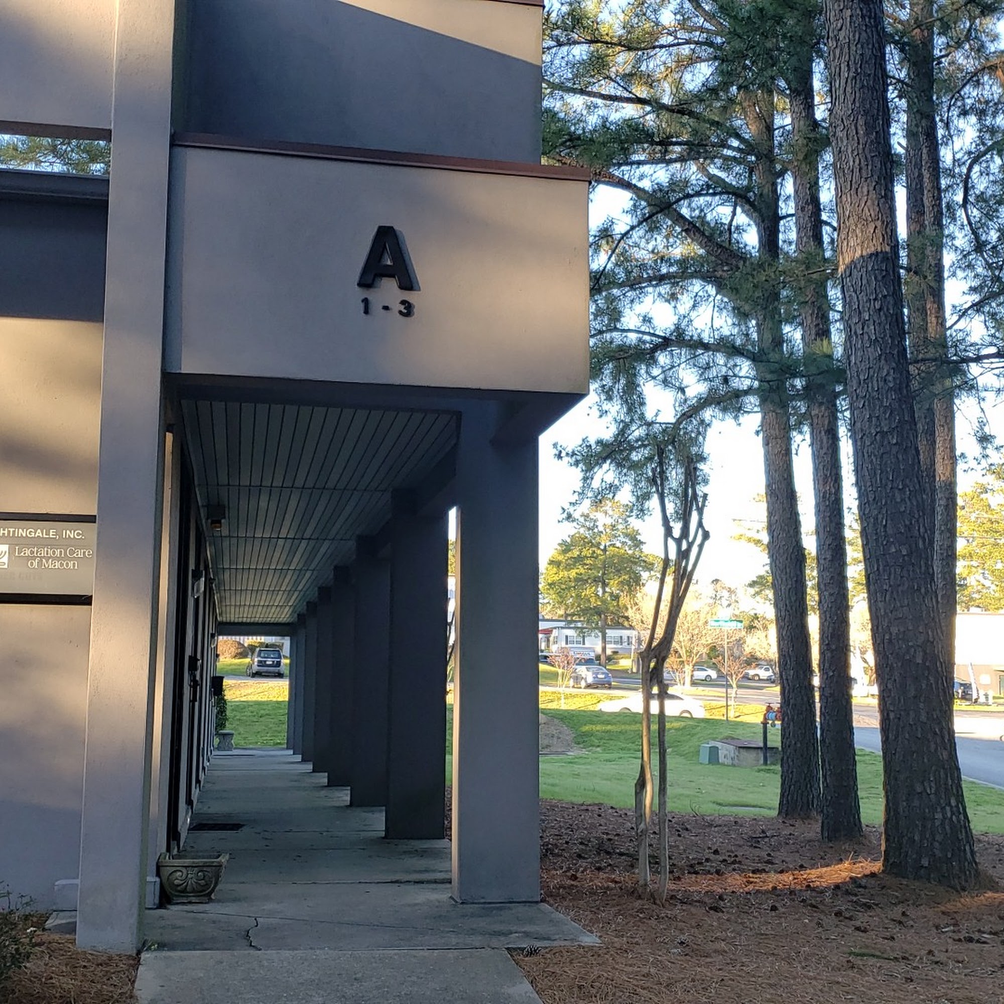 Nightingale Home Care, Inc. 2459, 3902 Northside Dr # A1, Macon Georgia 31210