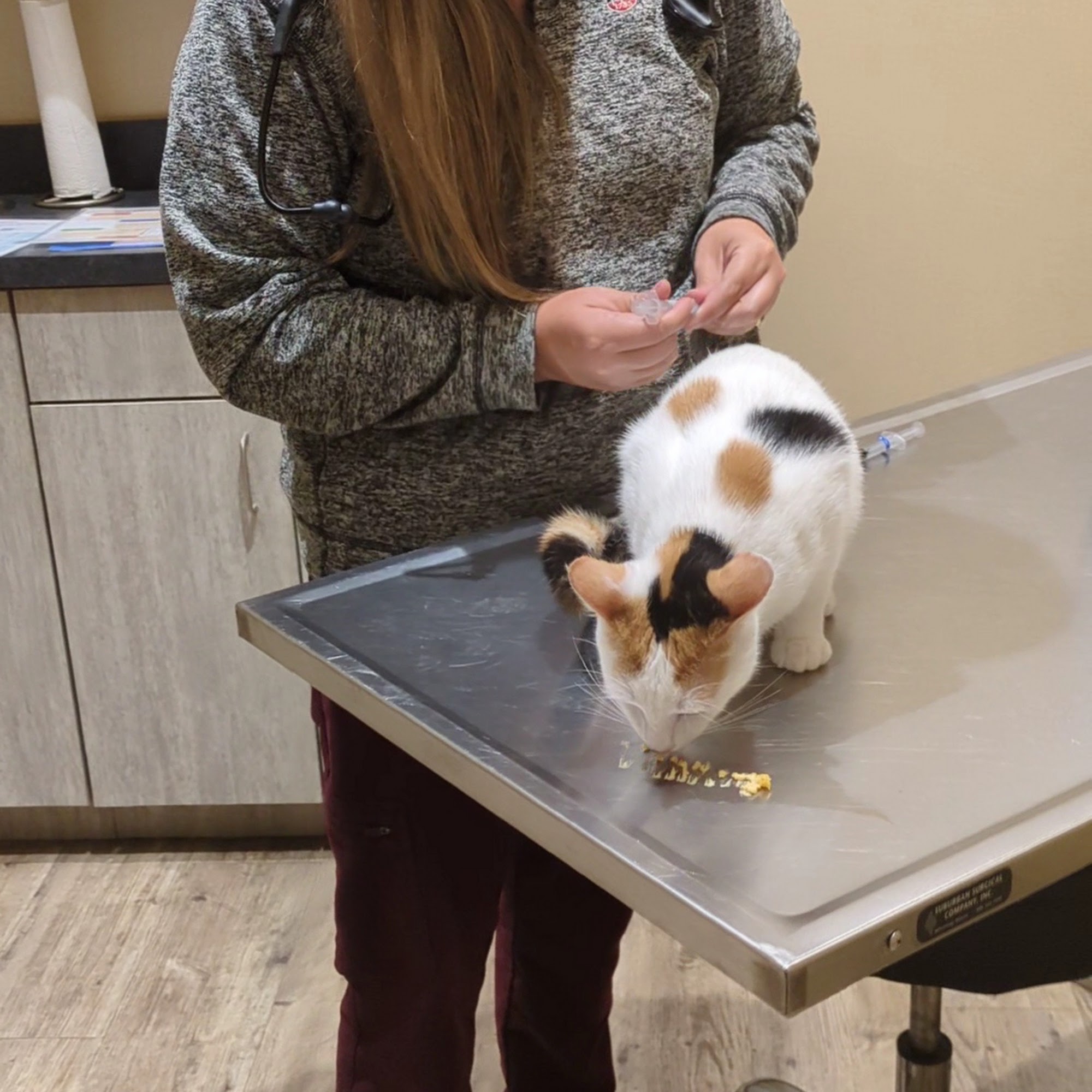 Main Street Vet Madison