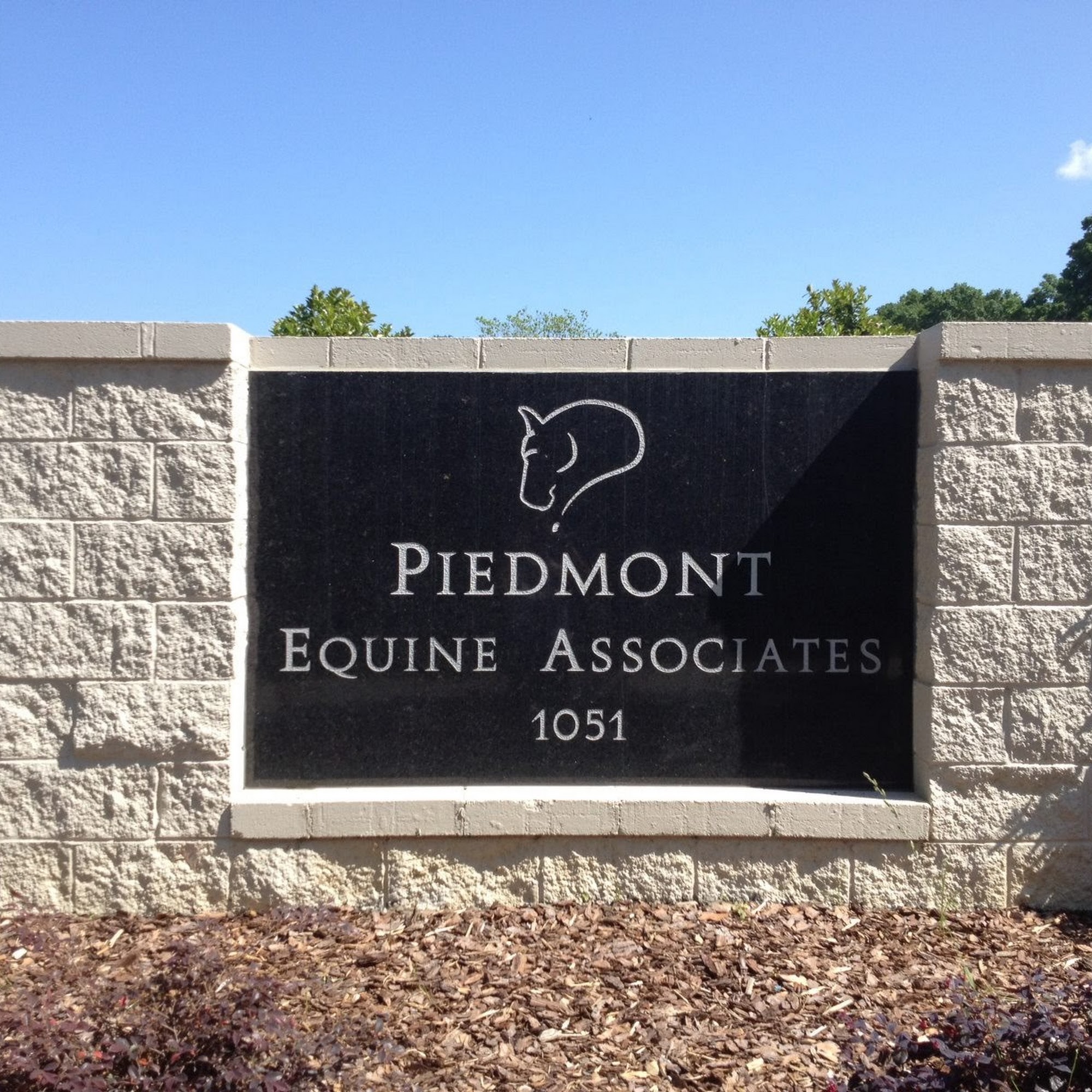 Piedmont Equine Associates Madison