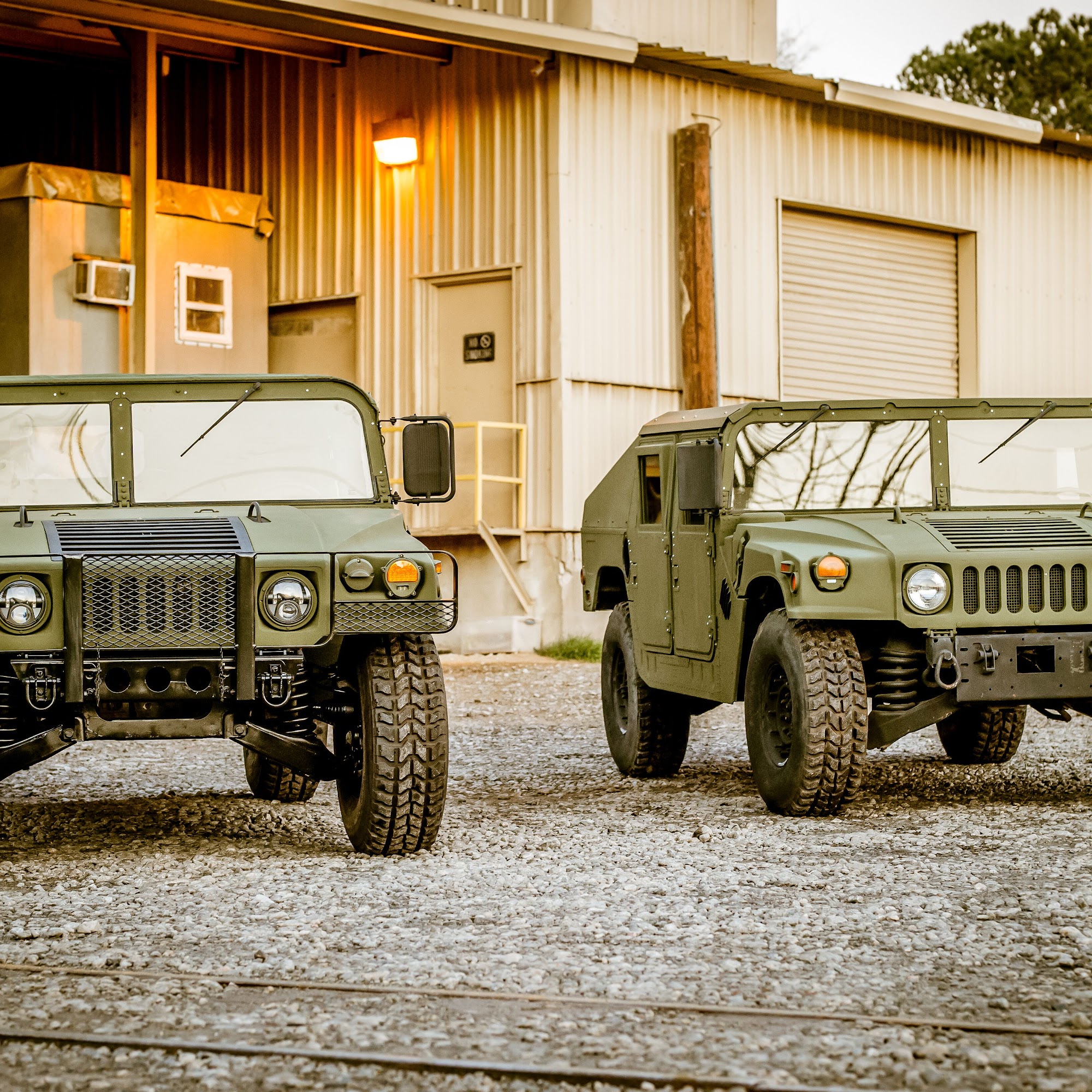 Black Dog Customs Madison