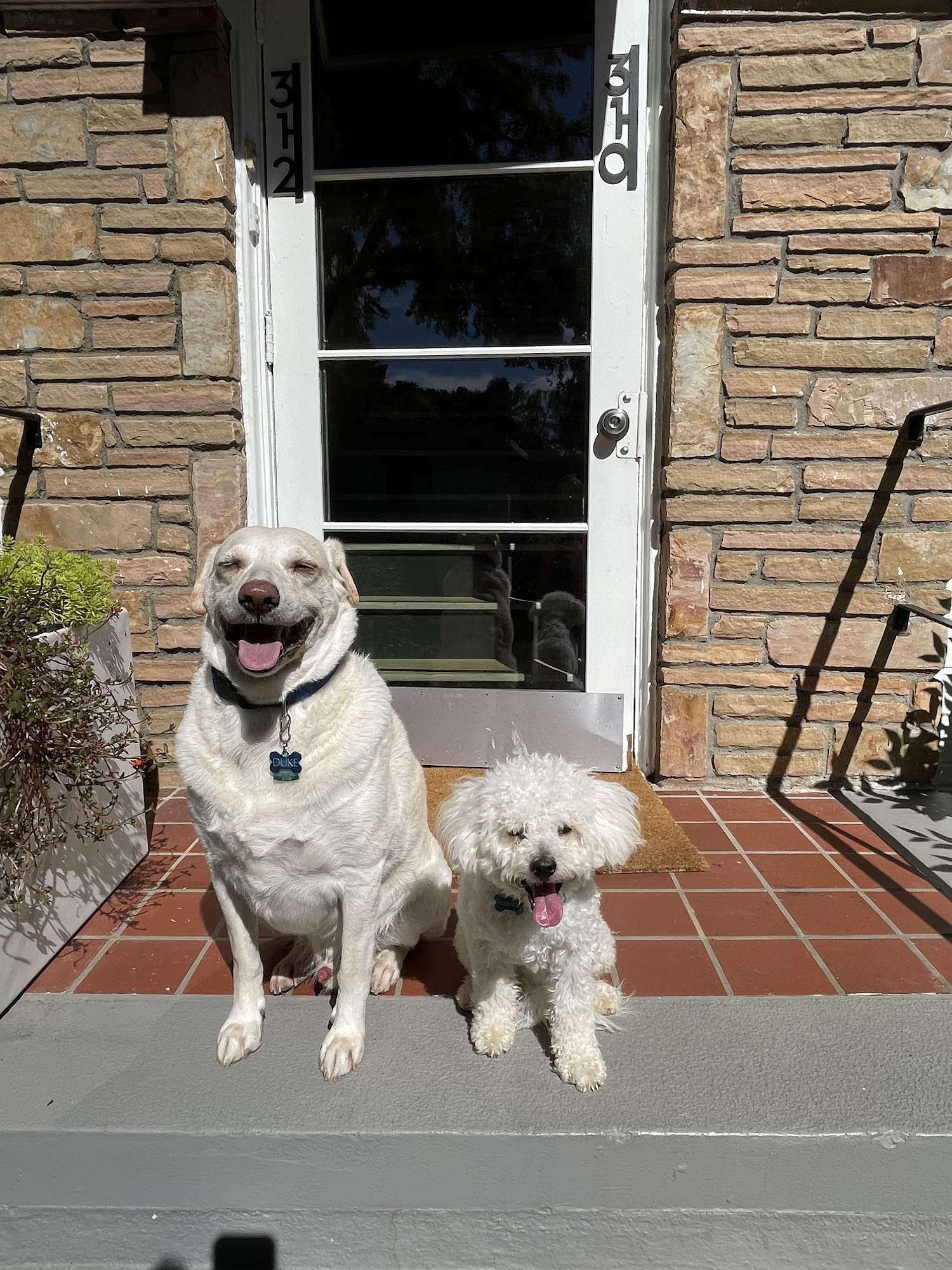 The Veterinary Clinic Marietta