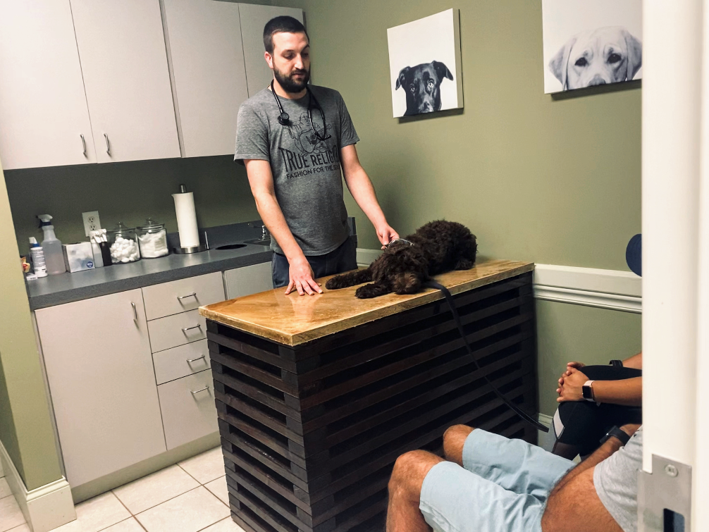 Marietta Vet Clinic Marietta