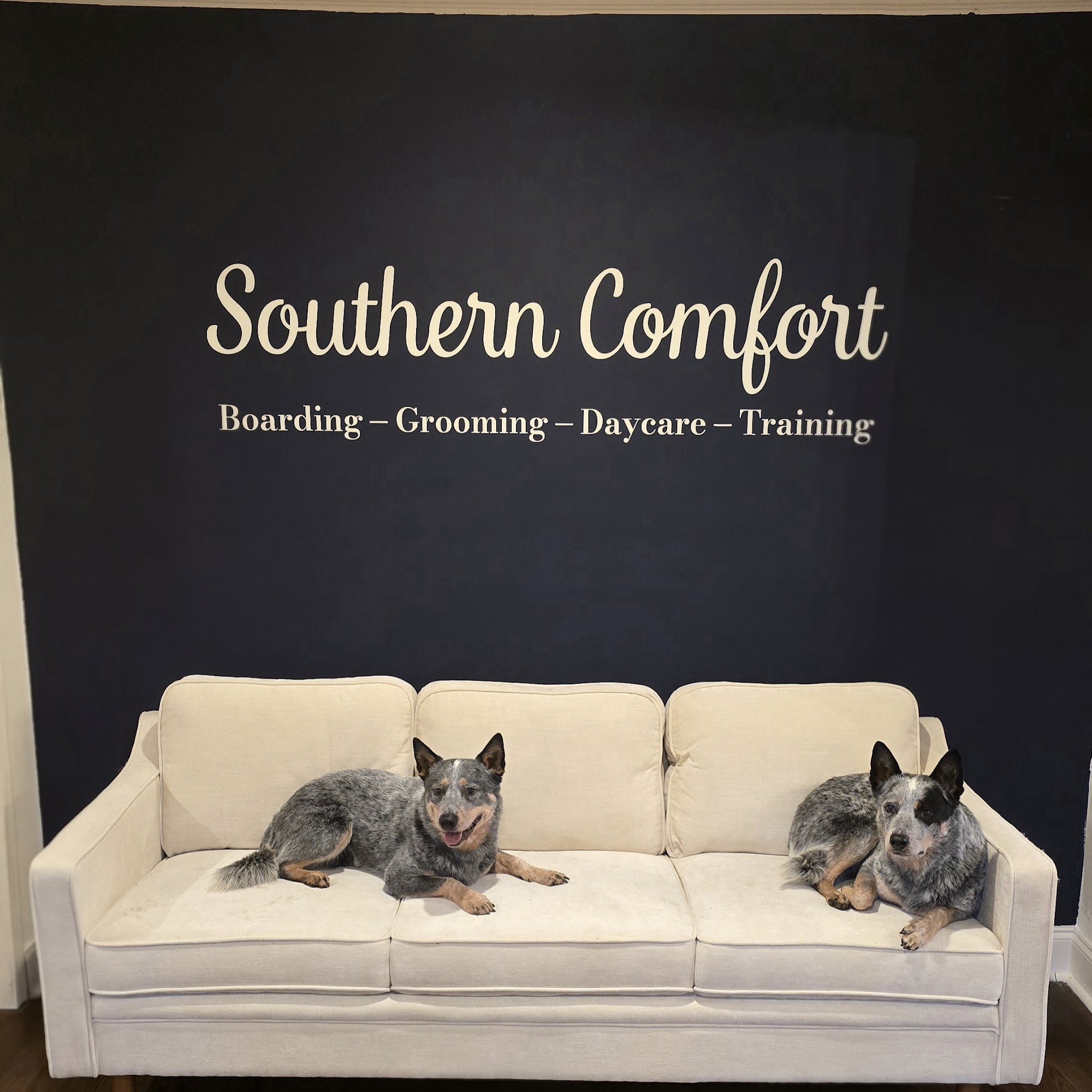 A Passion For Pets Playcare Marietta