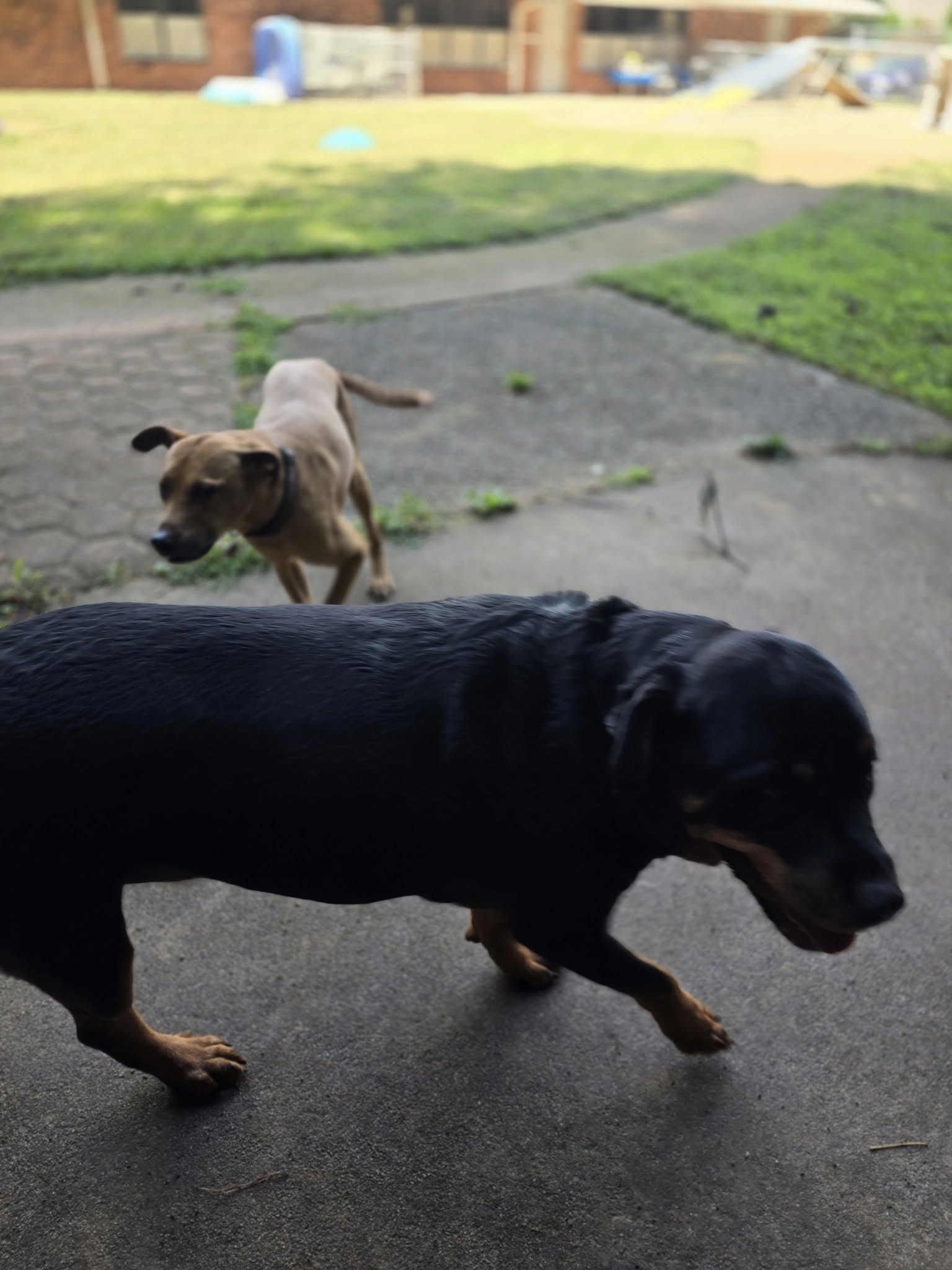 Kritter Keepers Club Marietta