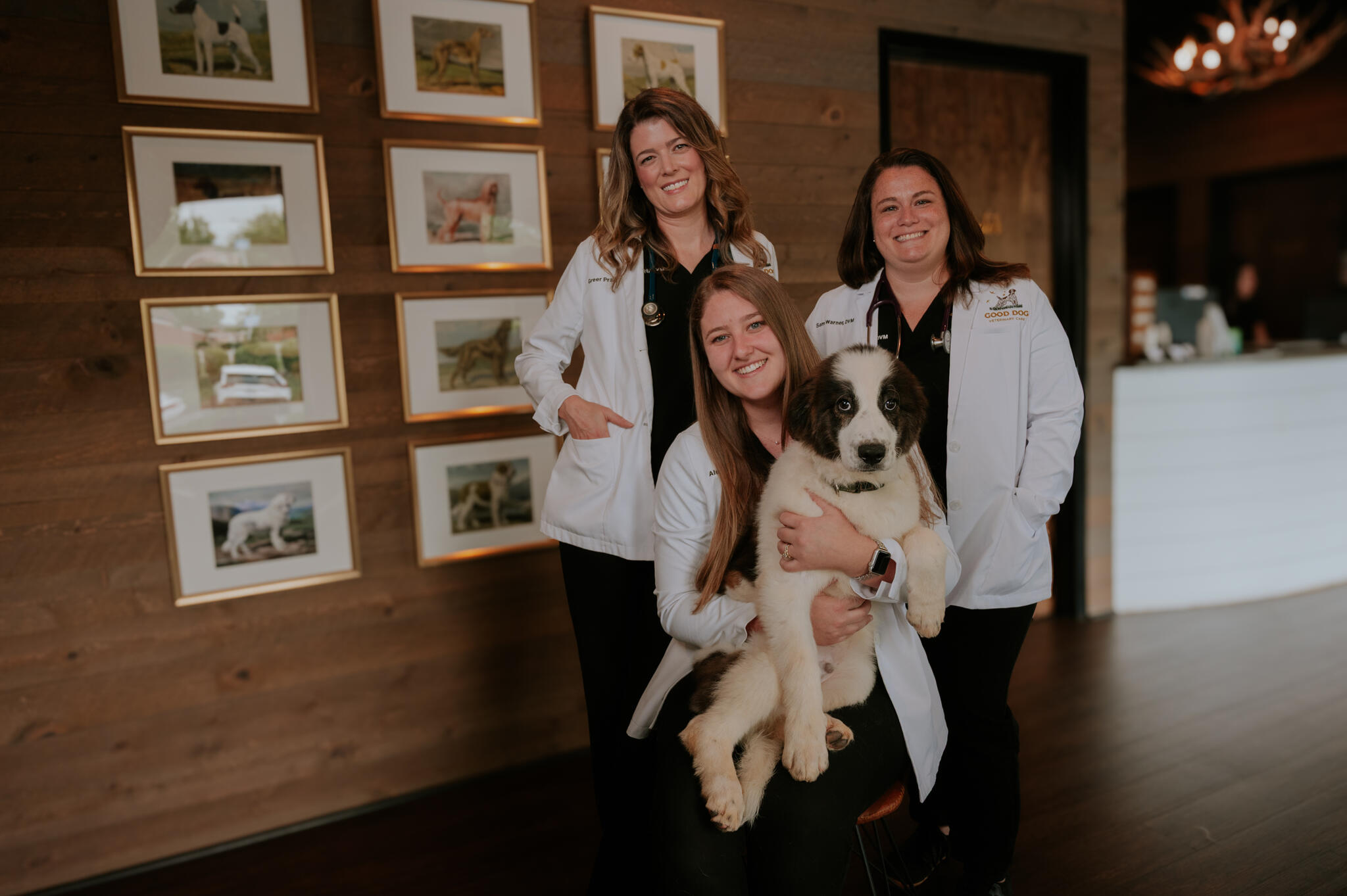 Good Dog Veterinary Care Marietta