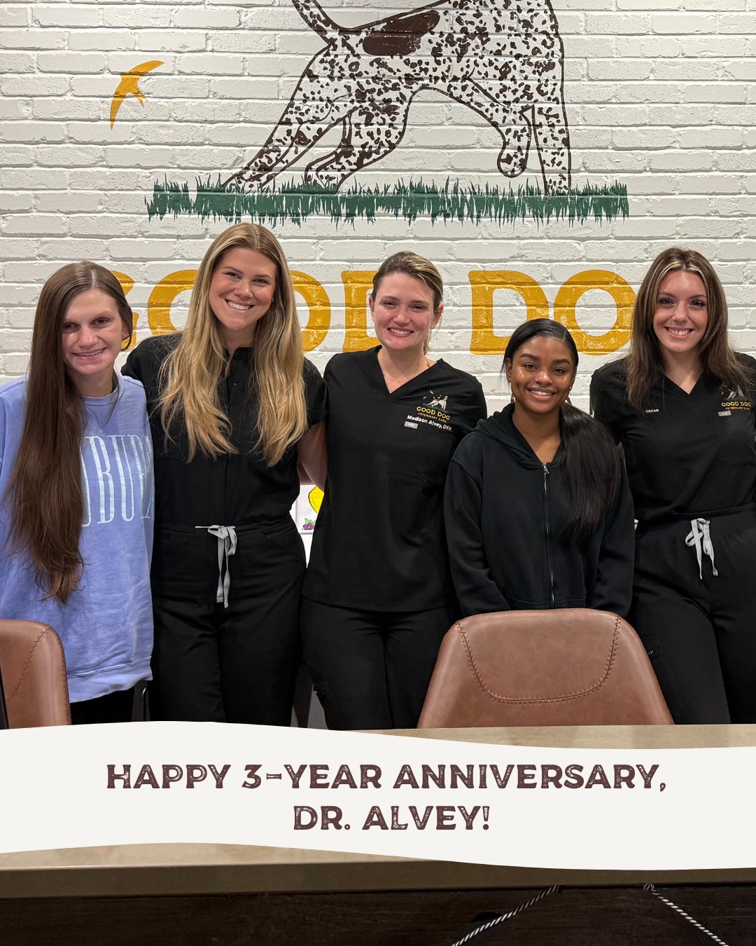 Good Dog Veterinary Care Marietta