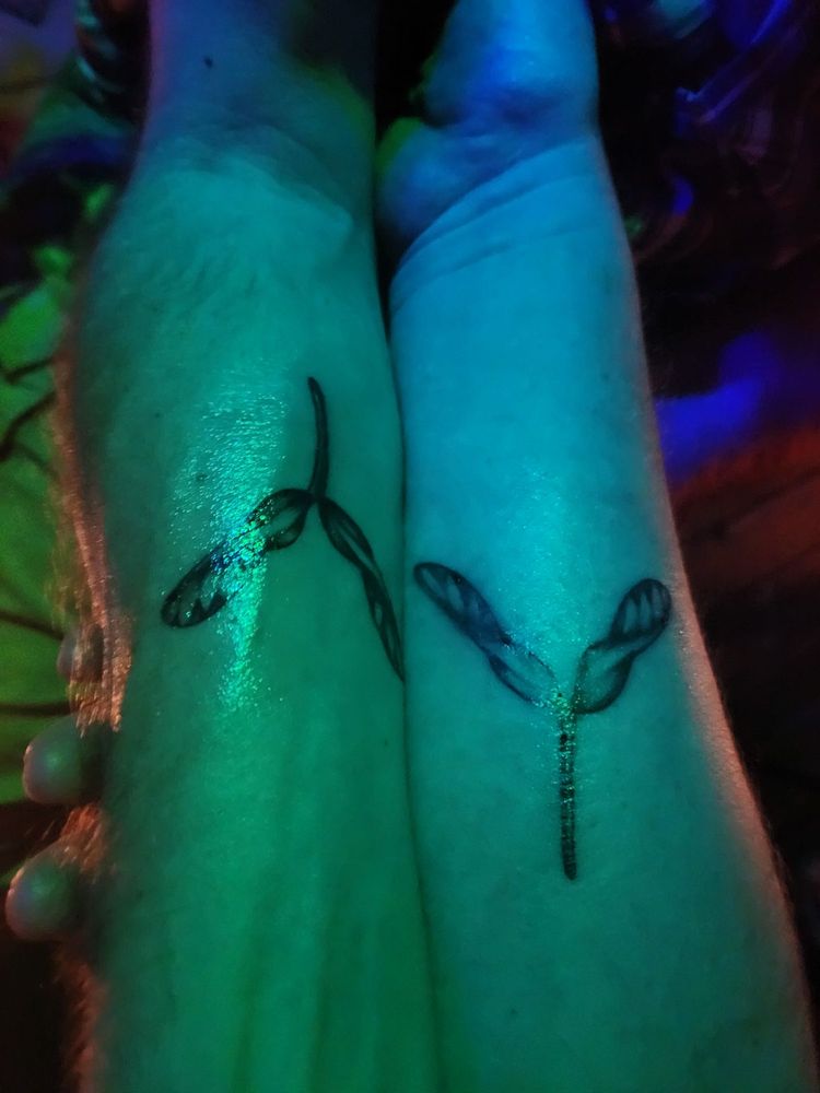 Photo credit: 