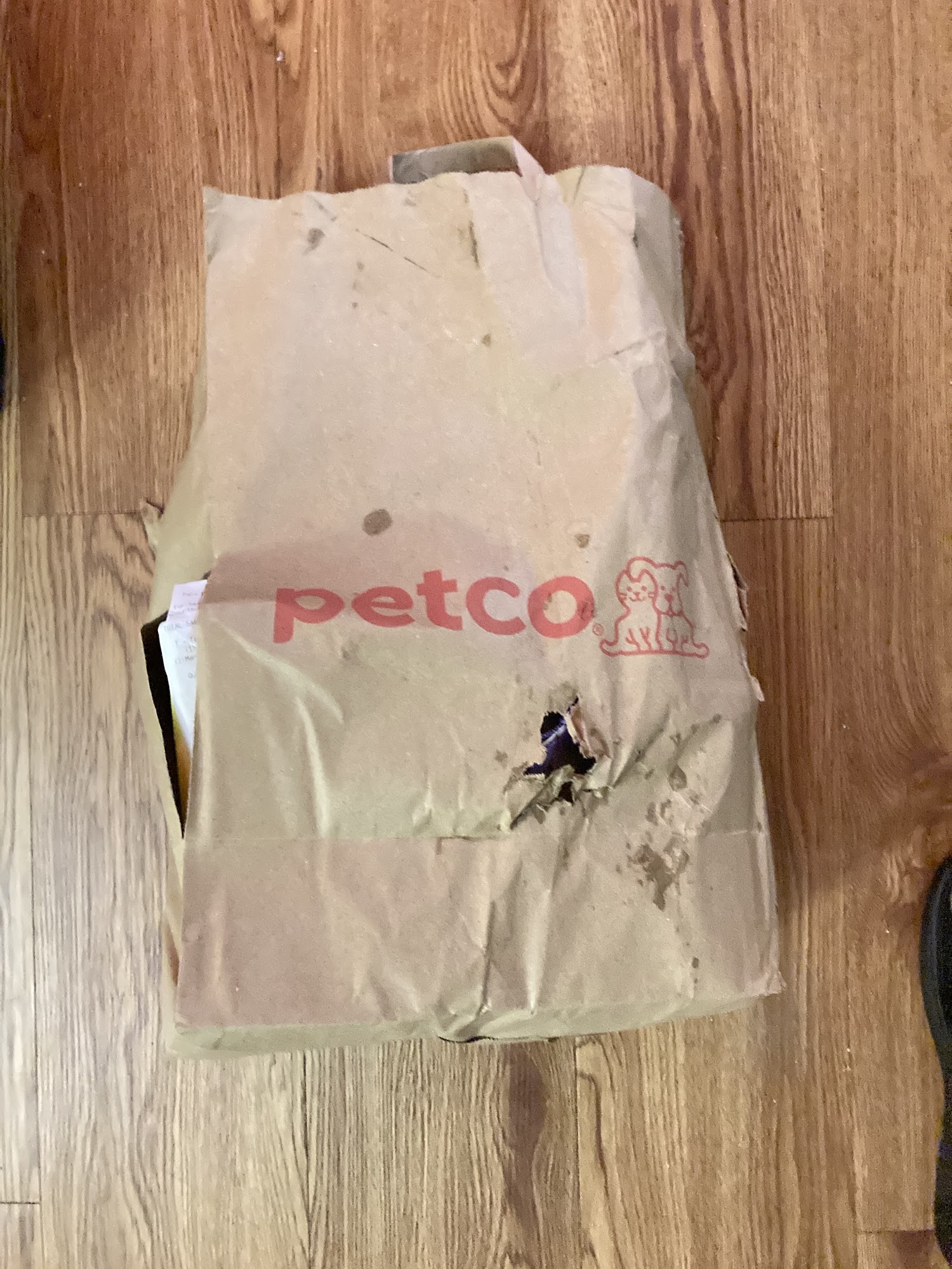 Petco Marietta